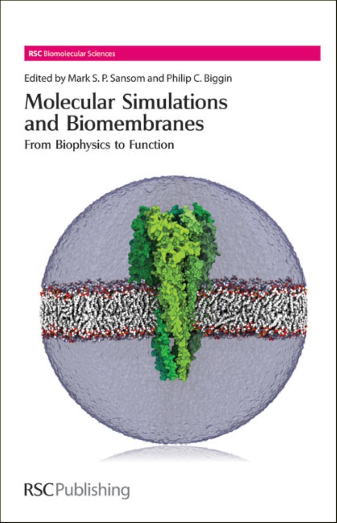 Molecular Simulations and Biomembranes: From Biophysics to Function (20) (Rsc Biomolecular Sciences, 20, Band 20) Natural Sciences