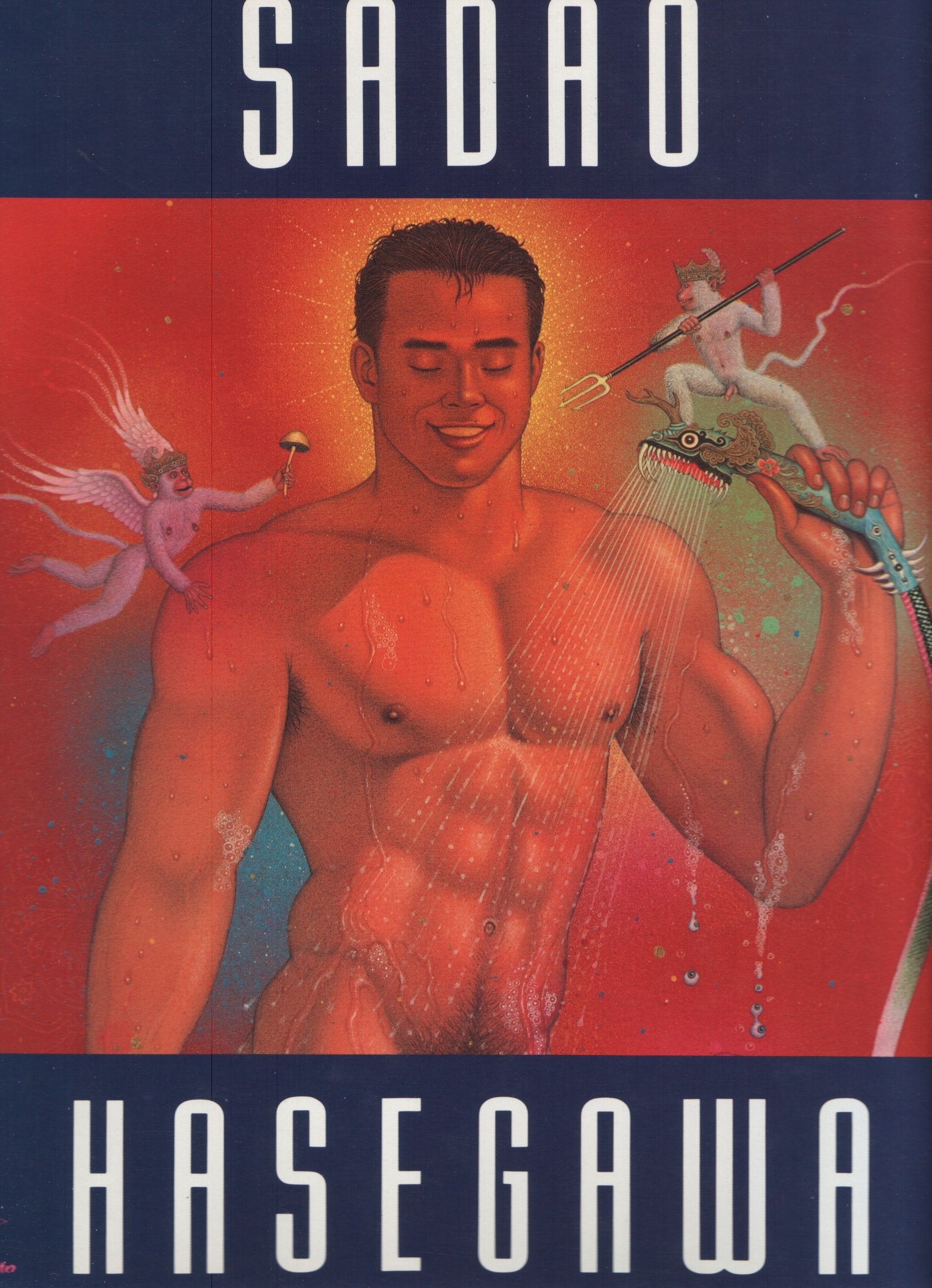 Sadao Hasegawa Paintings and Drawings Books