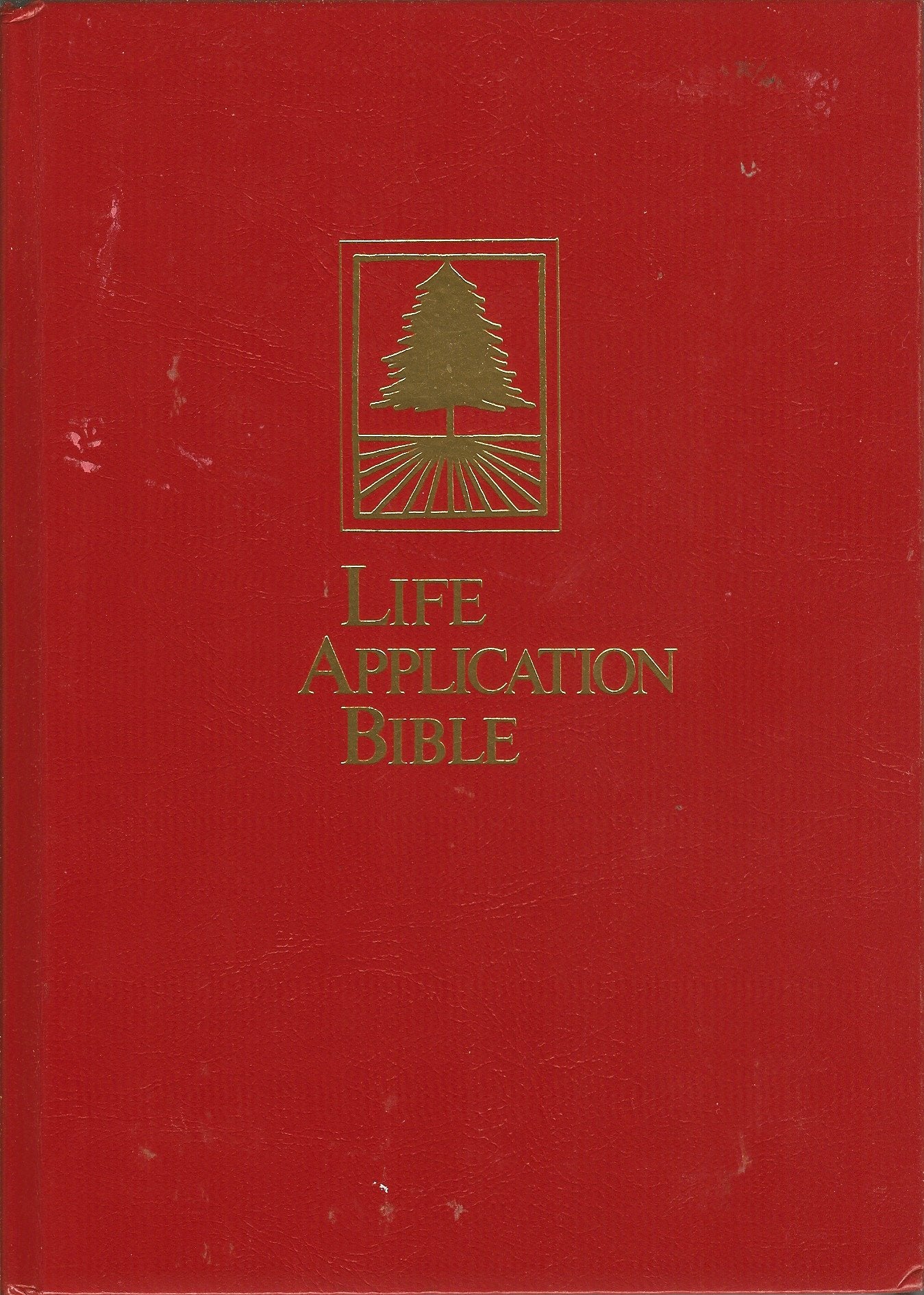 Product Image: Bible NIV Lasb