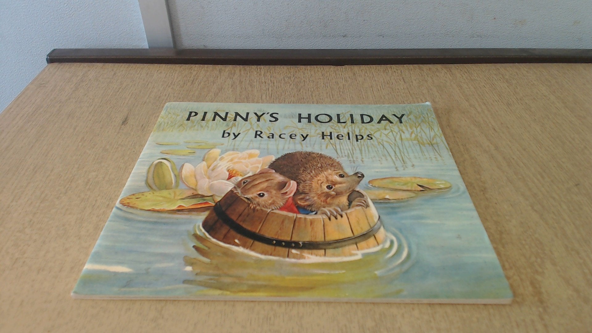 Pinny's Holiday (Medici books for children) Novels & Short Stories
