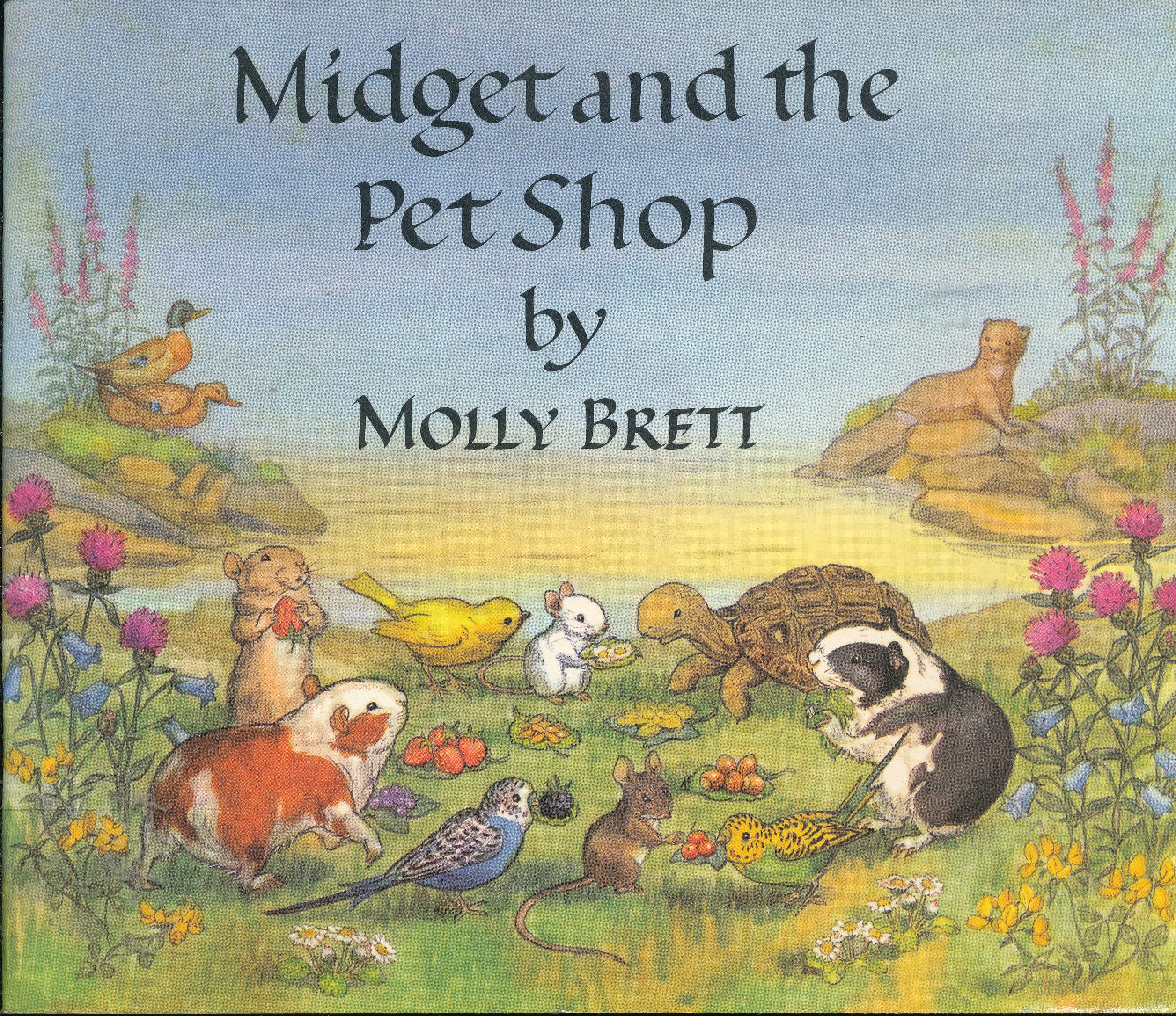 Midget and the Pet Shop (Medici books for children) Novels & Short Stories