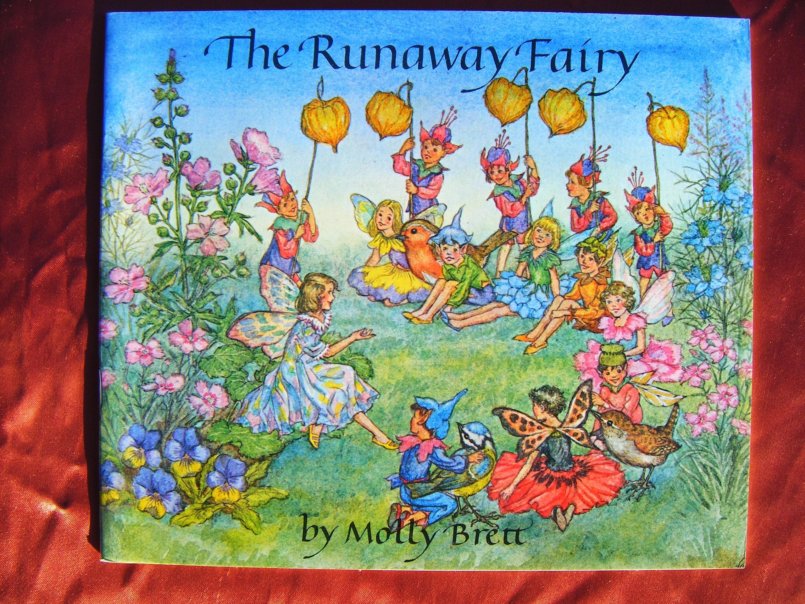 The Runaway Fairy (Medici books for children) Books
