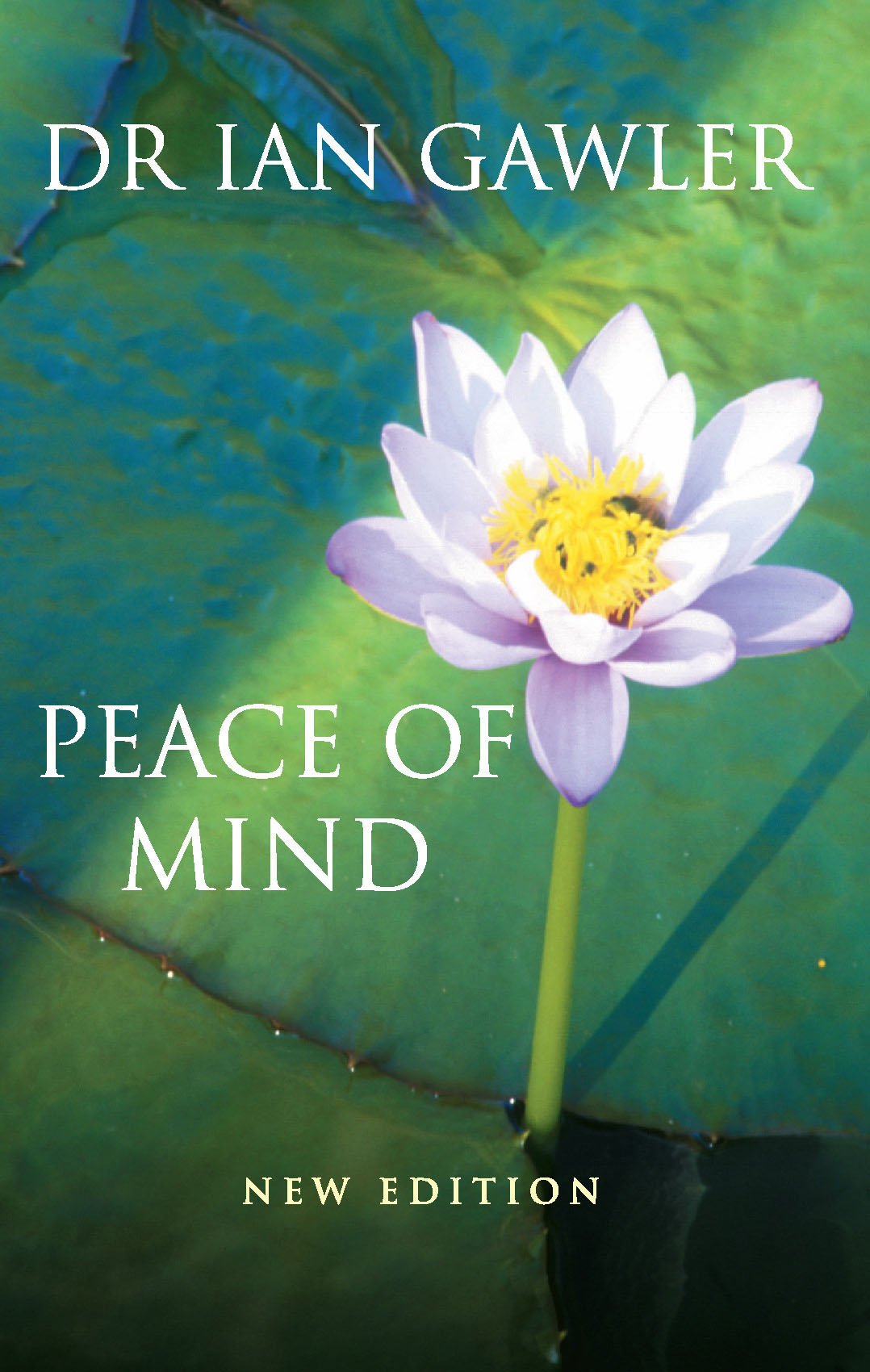 Peace of Mind: New Edition Religion & Esotericism