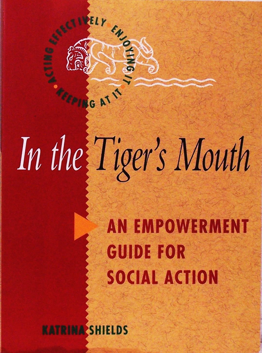 In the Tiger's Mouth: Empowerment Guide for Social Action Books