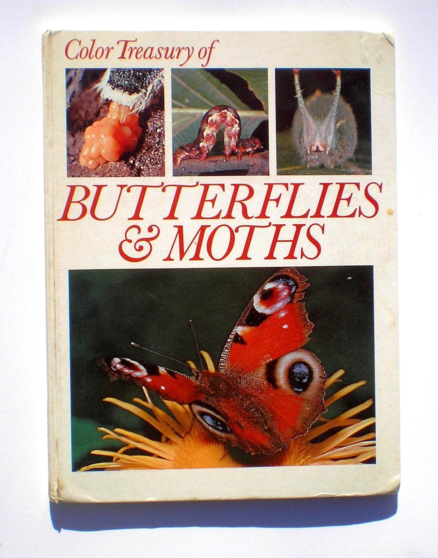 Butterflies and Moths Books