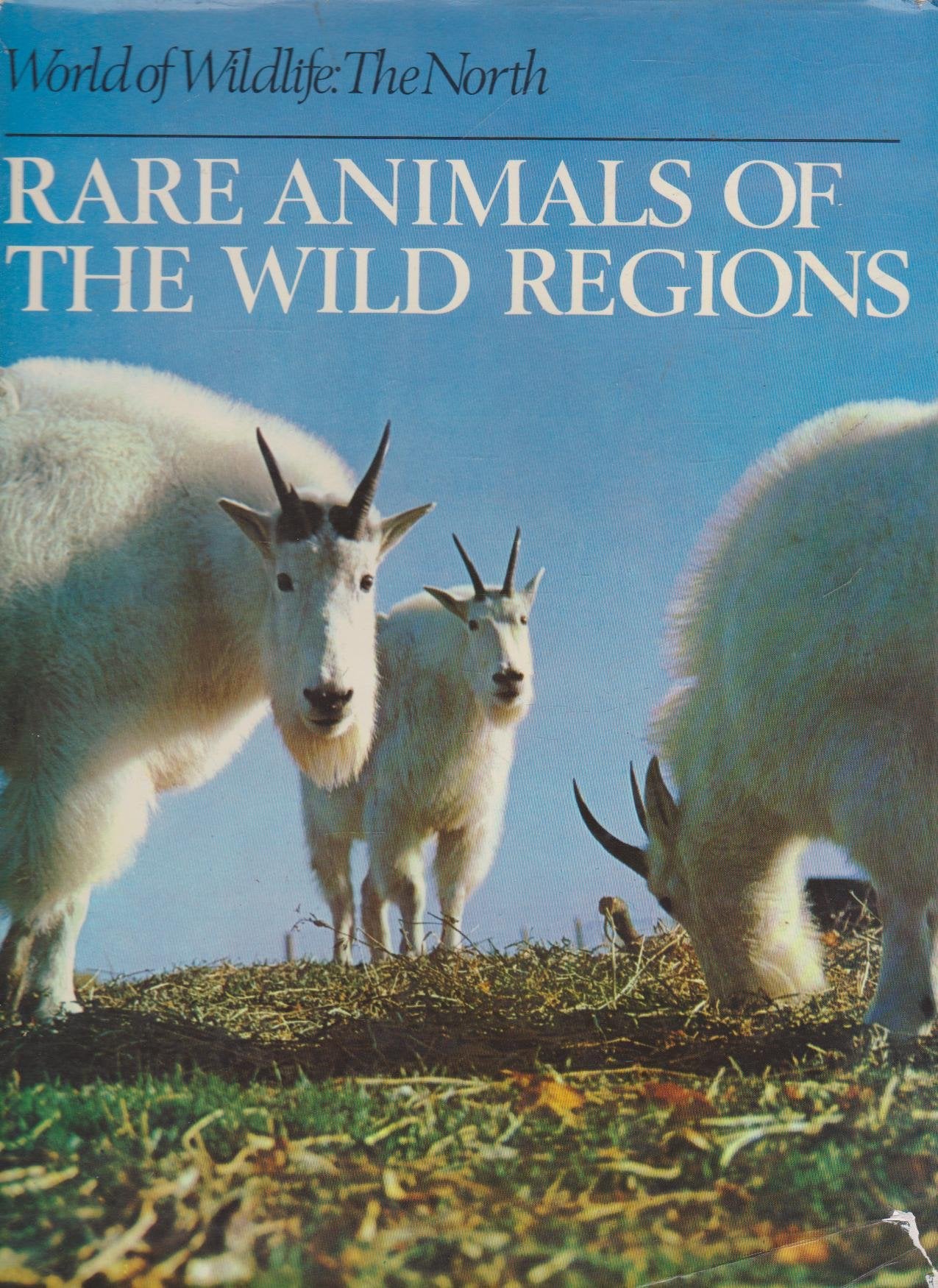 The North: Rare Animals of the Wild Regions (World of Wildlife S.) Books