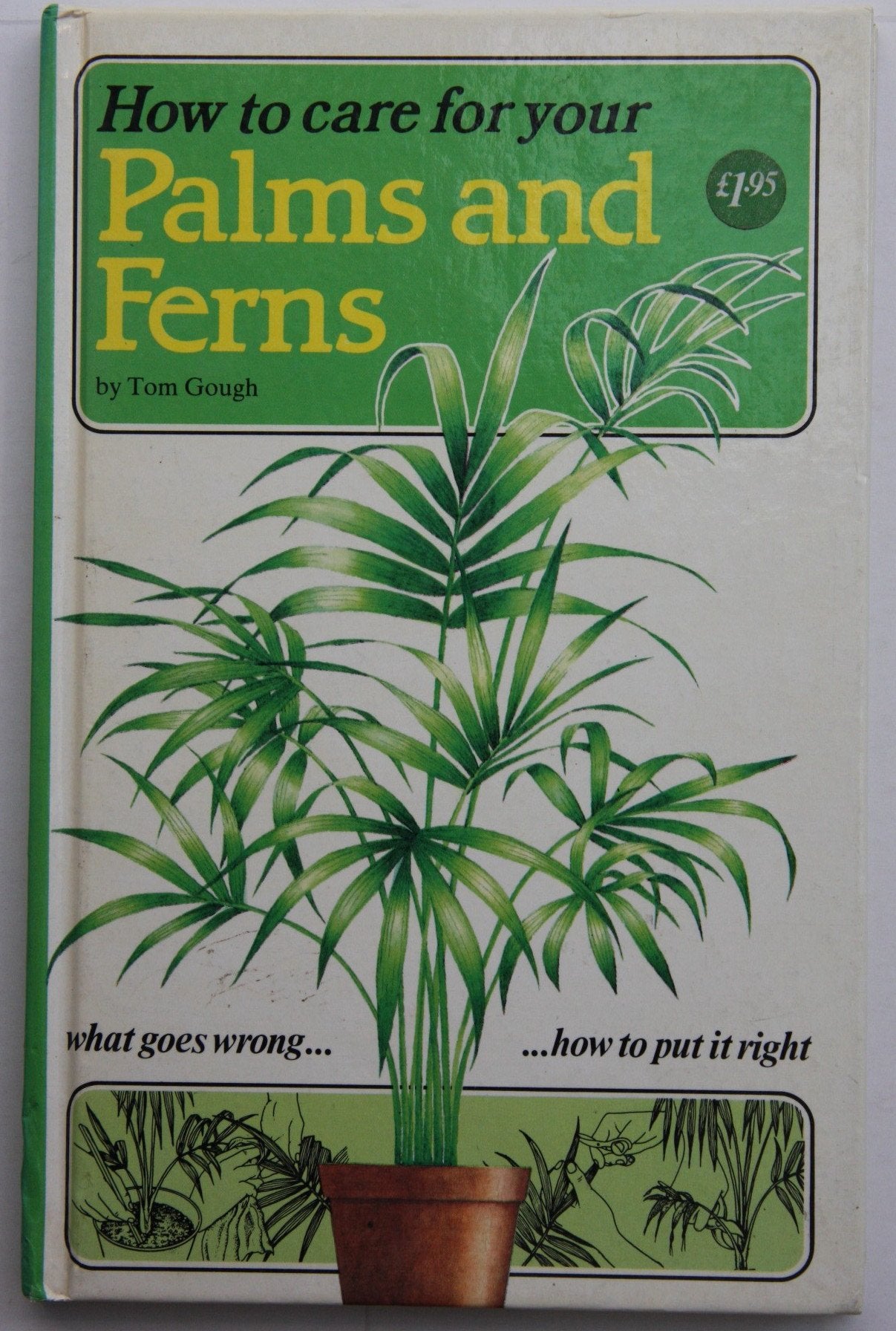 How to Care for Your Palms and Ferns (How to Care for Your Houseplants) Books