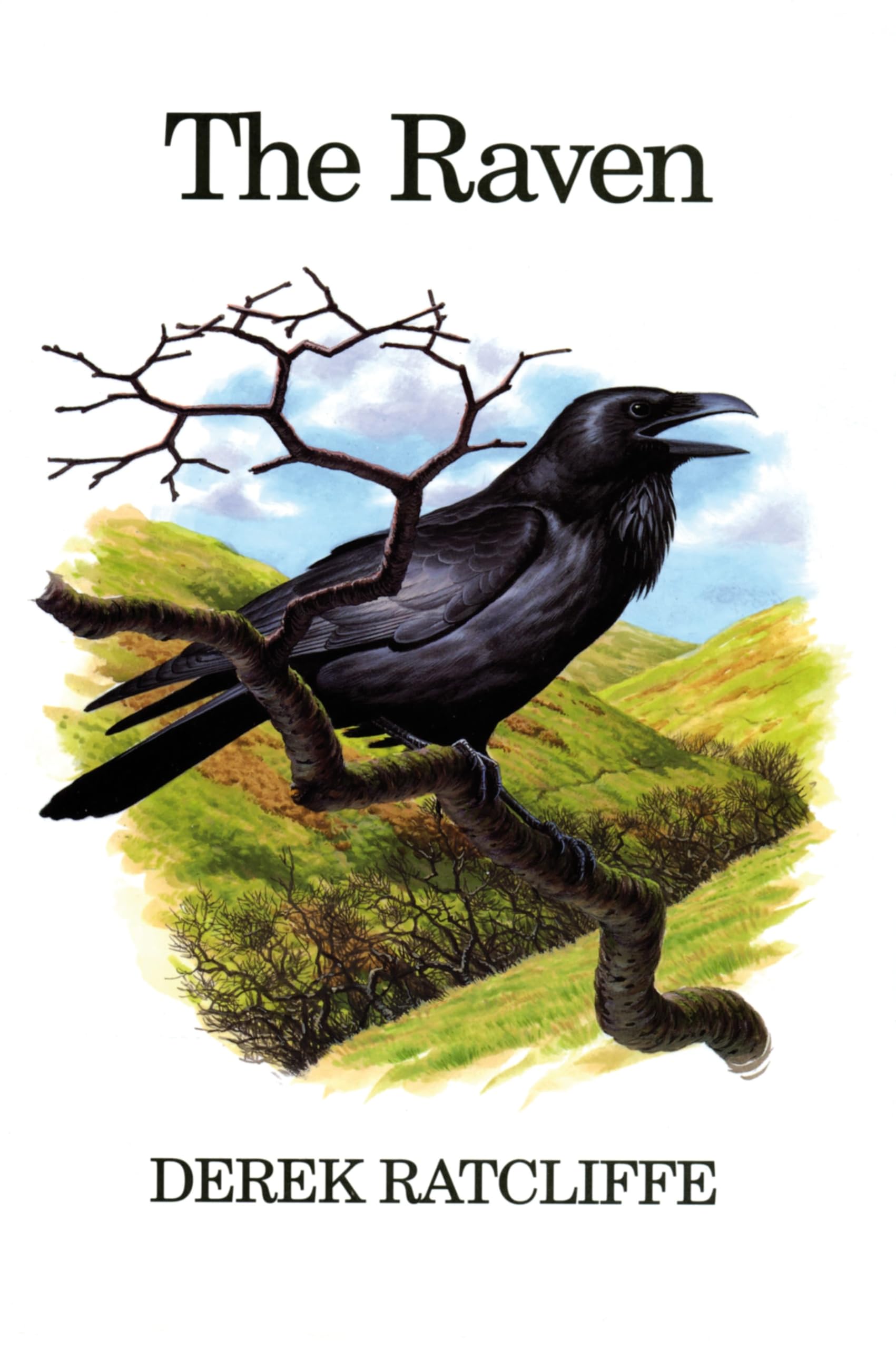 The Raven Mathematics