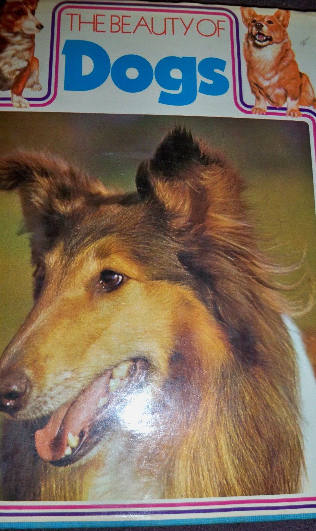 Beauty of Dogs Books