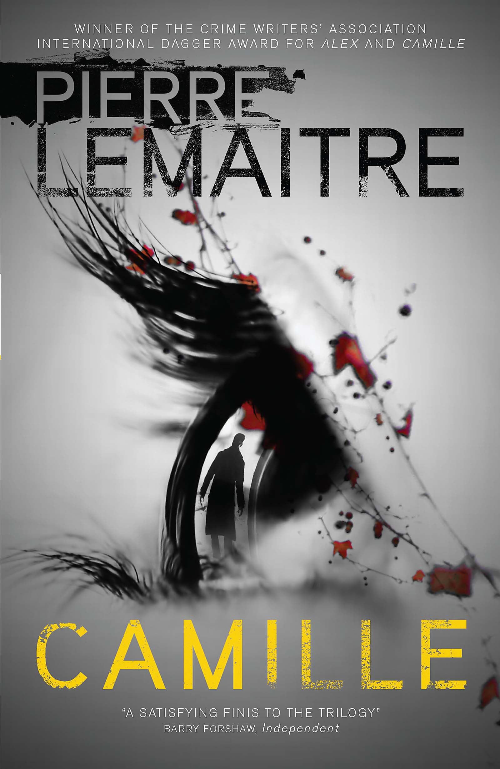 Camille: The Final Paris Crime Files Thriller book