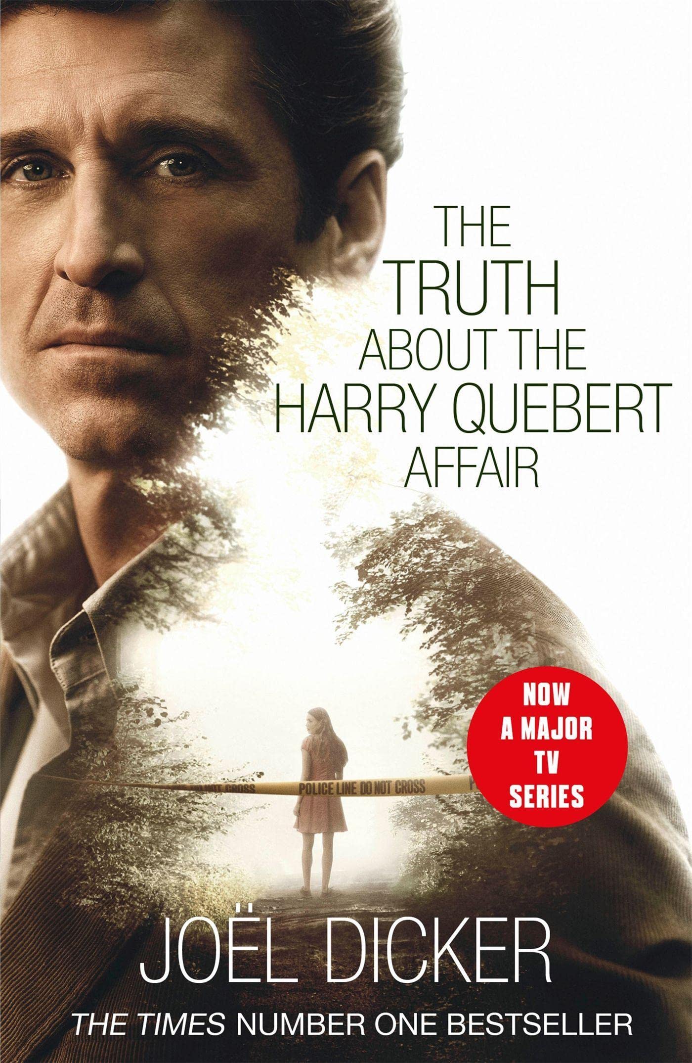 The Truth About Harry Quebert Affair. TV Tie-In Contemporary literature