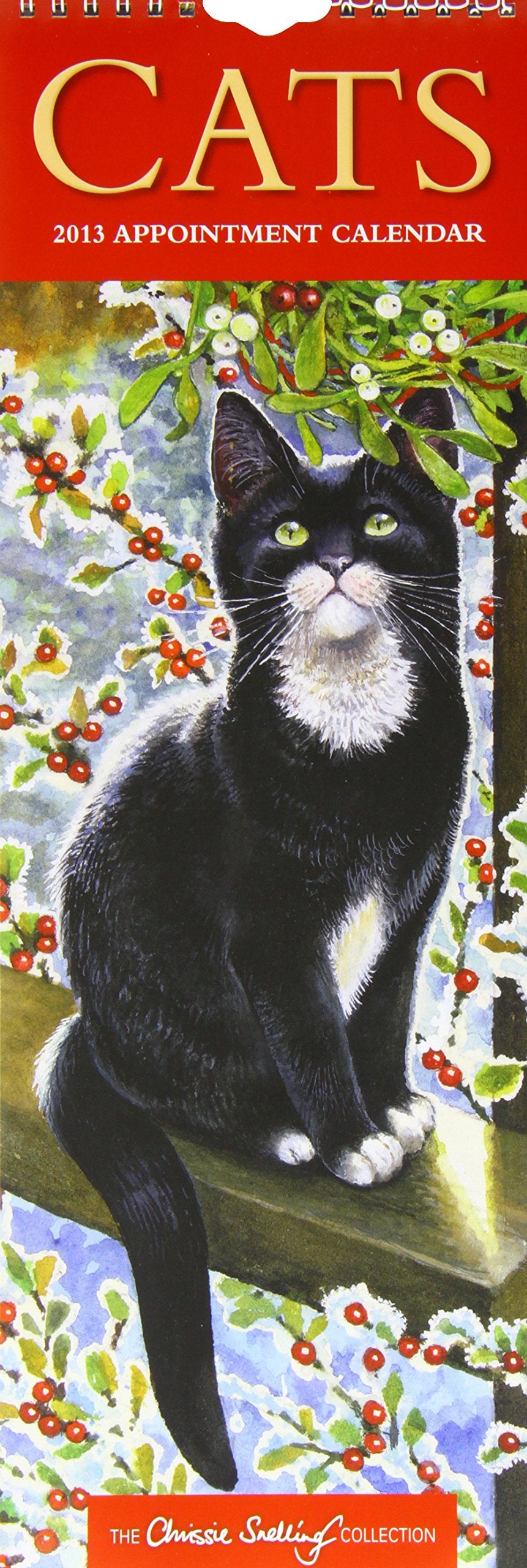 Cats by Chrissie Snelling 2013: Slim: Standard (Cats by Chrissie Snelling: Slim: Standard) Pets