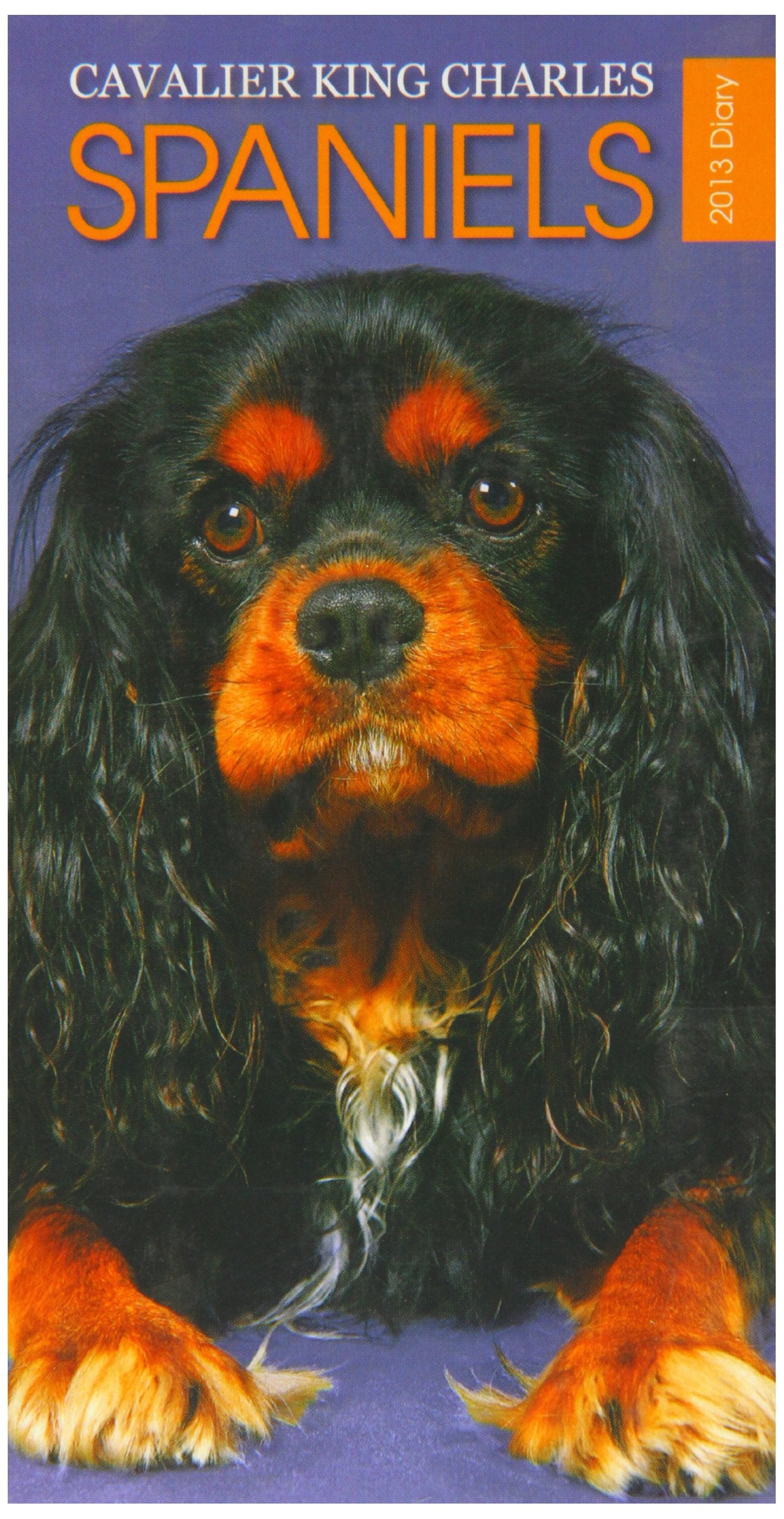 Cavalier King Charles Spaniels 2013: Slim (Cavalier King Charles Spaniels: Slim) Pets