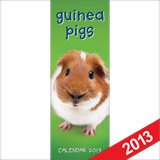 Guinea Pigs 2013: Slim: Standard (Guinea Pigs: Slim: Standard) Pets