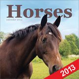 Horses Wiro Wall 2013 Pets