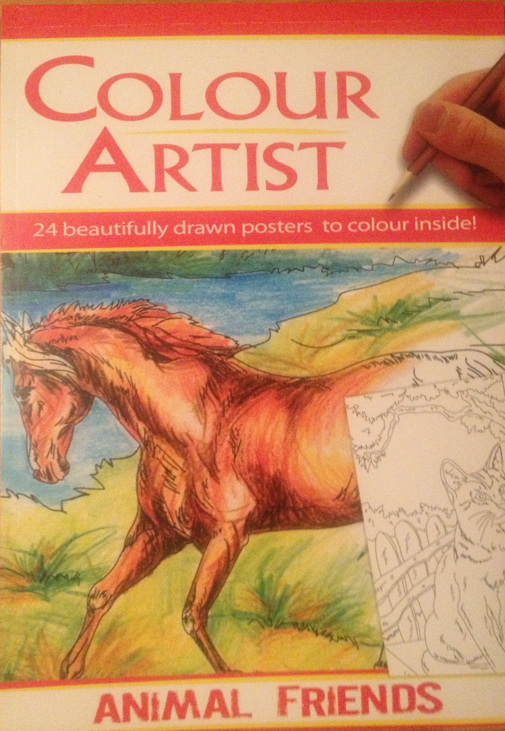 A4 "Artists Colour Book" - Tier Freunde - 24 schön illustrierten Gezeichnet Poster zu Farbe Books