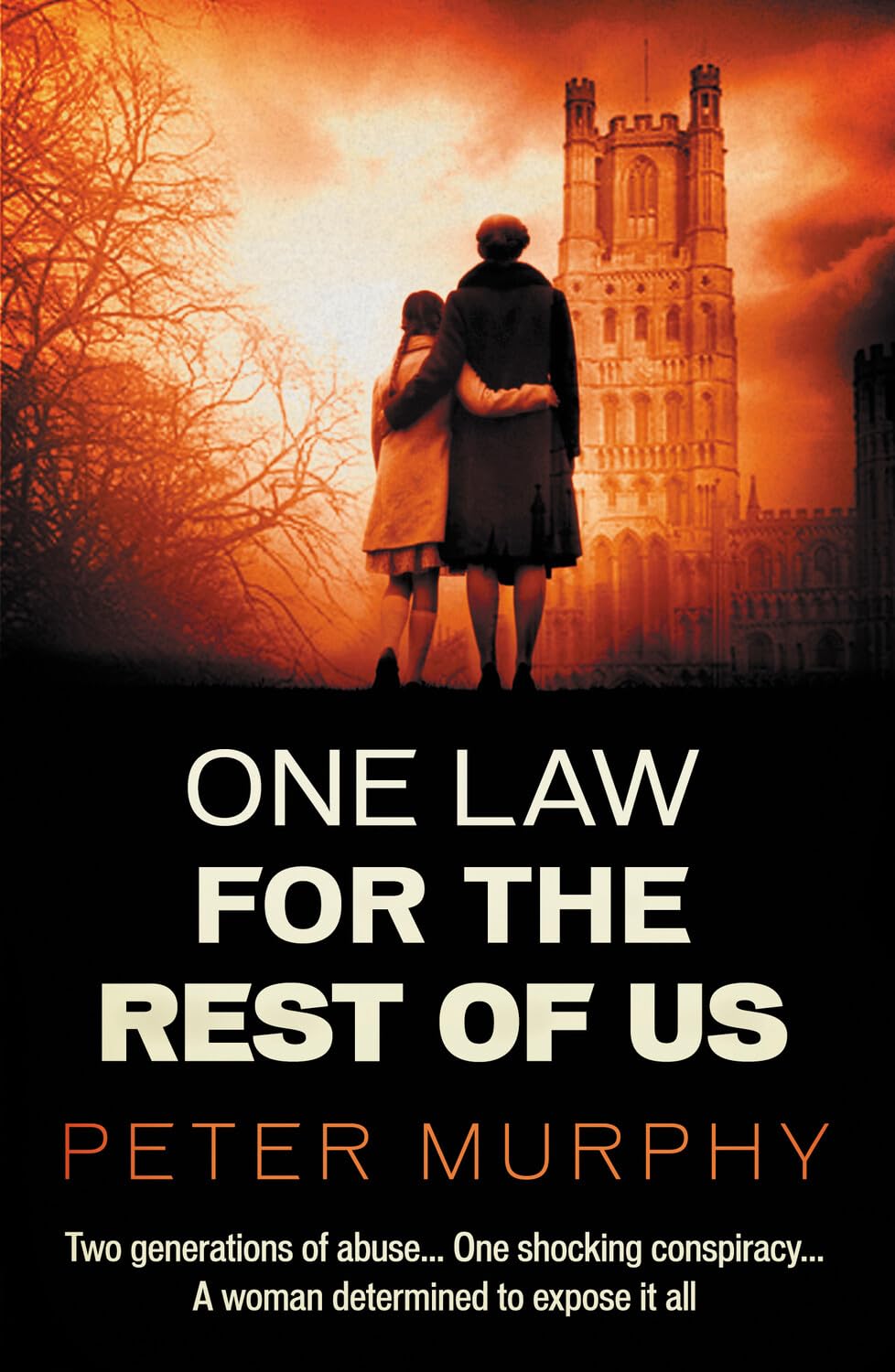 One Law For The Rest Of Us (Ben Schroeder, Band 6) Contemporary literature