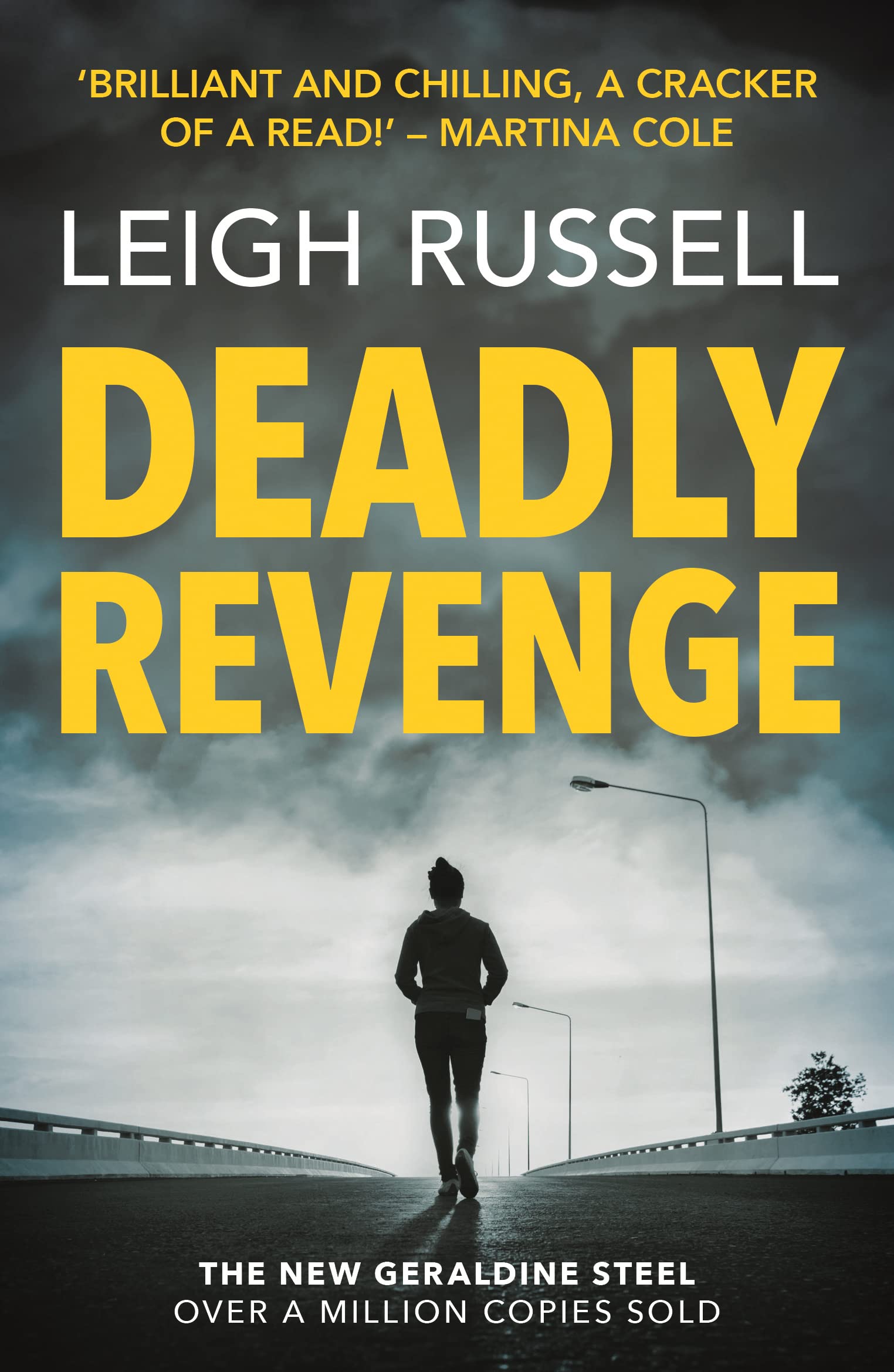 Deadly Revenge (Geraldine Steel Mysteries, 14) Contemporary literature
