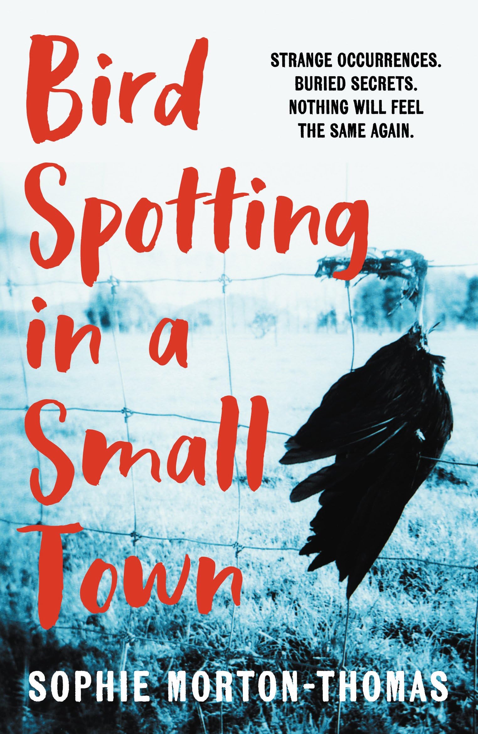 Bird Spotting in a Small Town Contemporary literature
