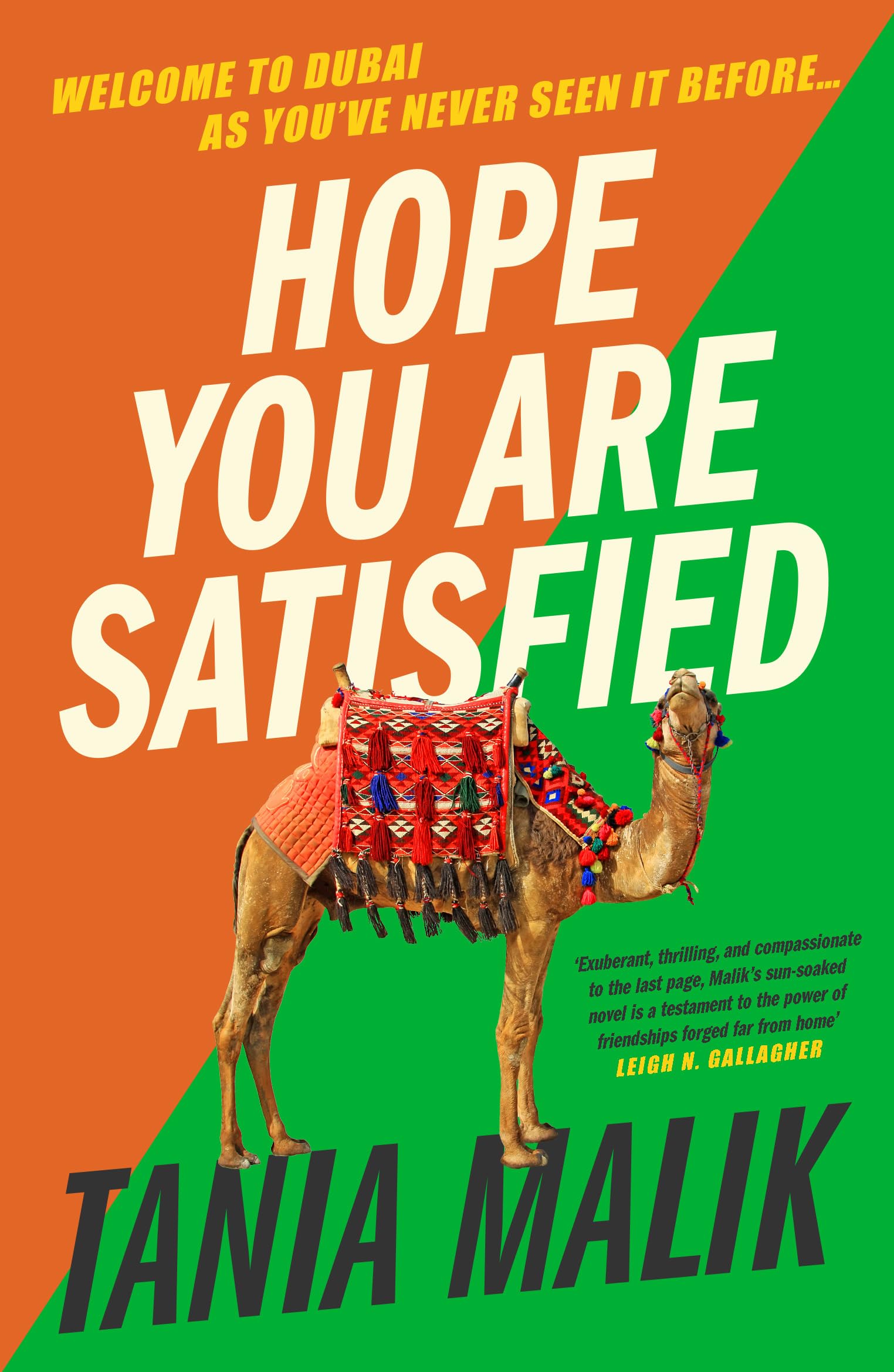 Hope You Are Satisfied Contemporary literature