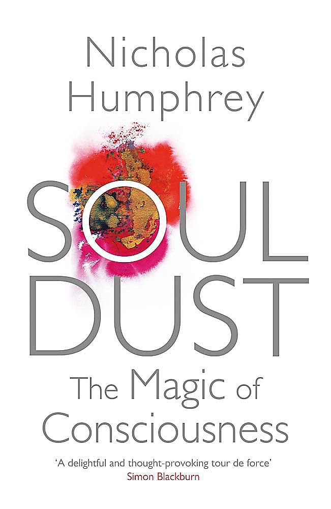 Soul Dust: The Magic of Consciousness Learning & Reference