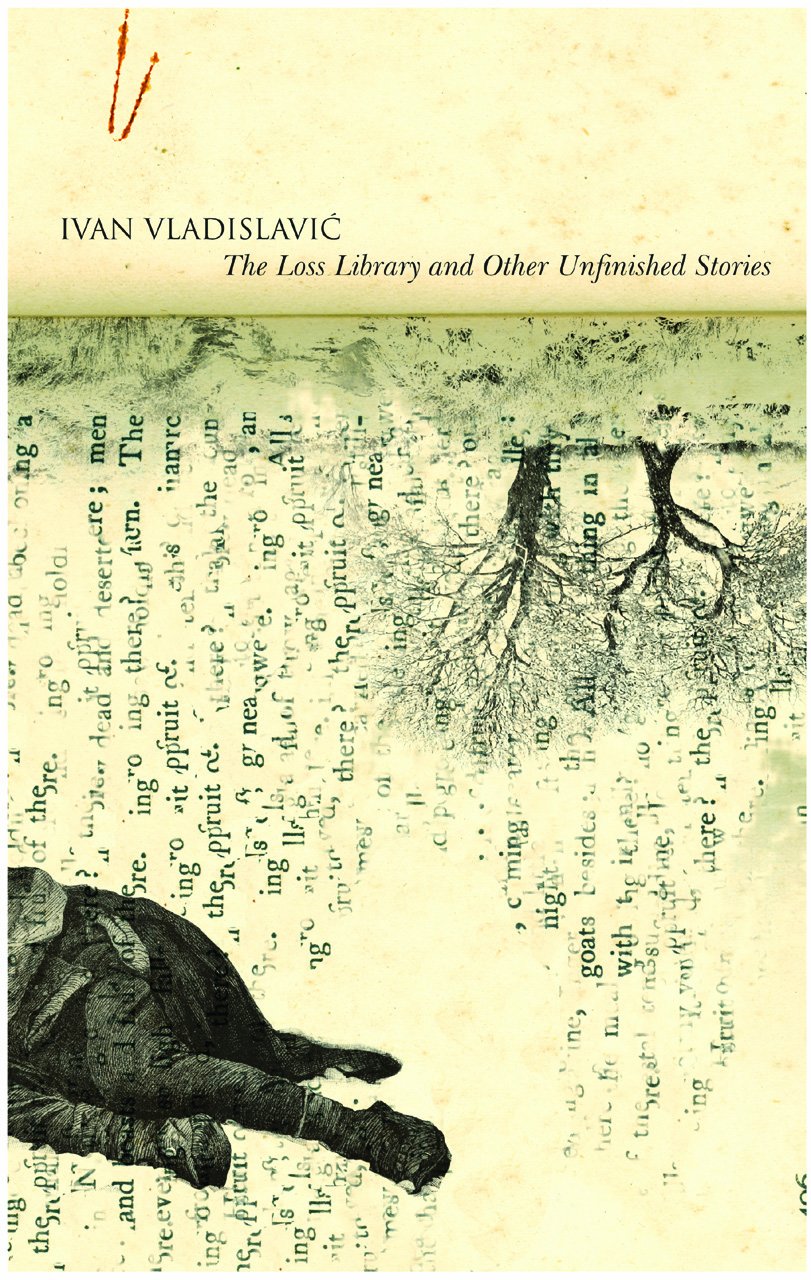 The Loss Library and Other Unfinished Stories (Africa List) Contemporary literature