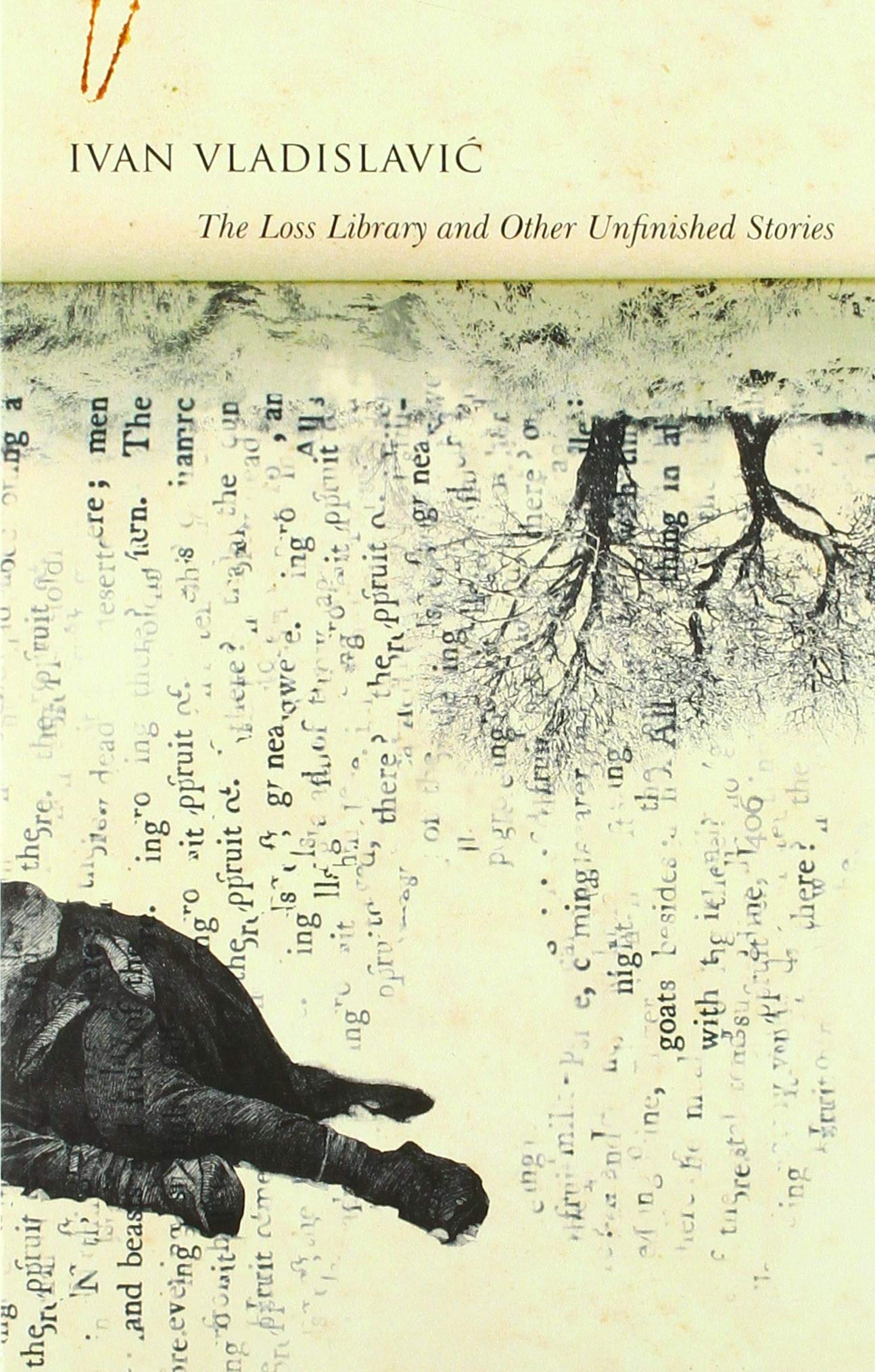 The Loss Library and Other Unfinished Stories book