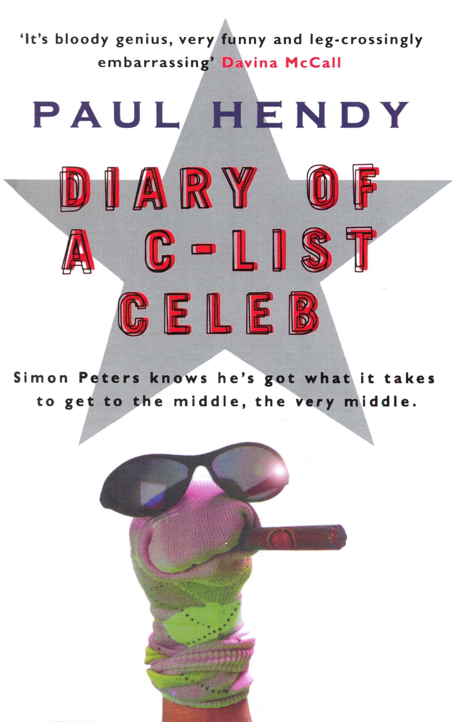 The Diary Of A C-List Celeb Contemporary literature