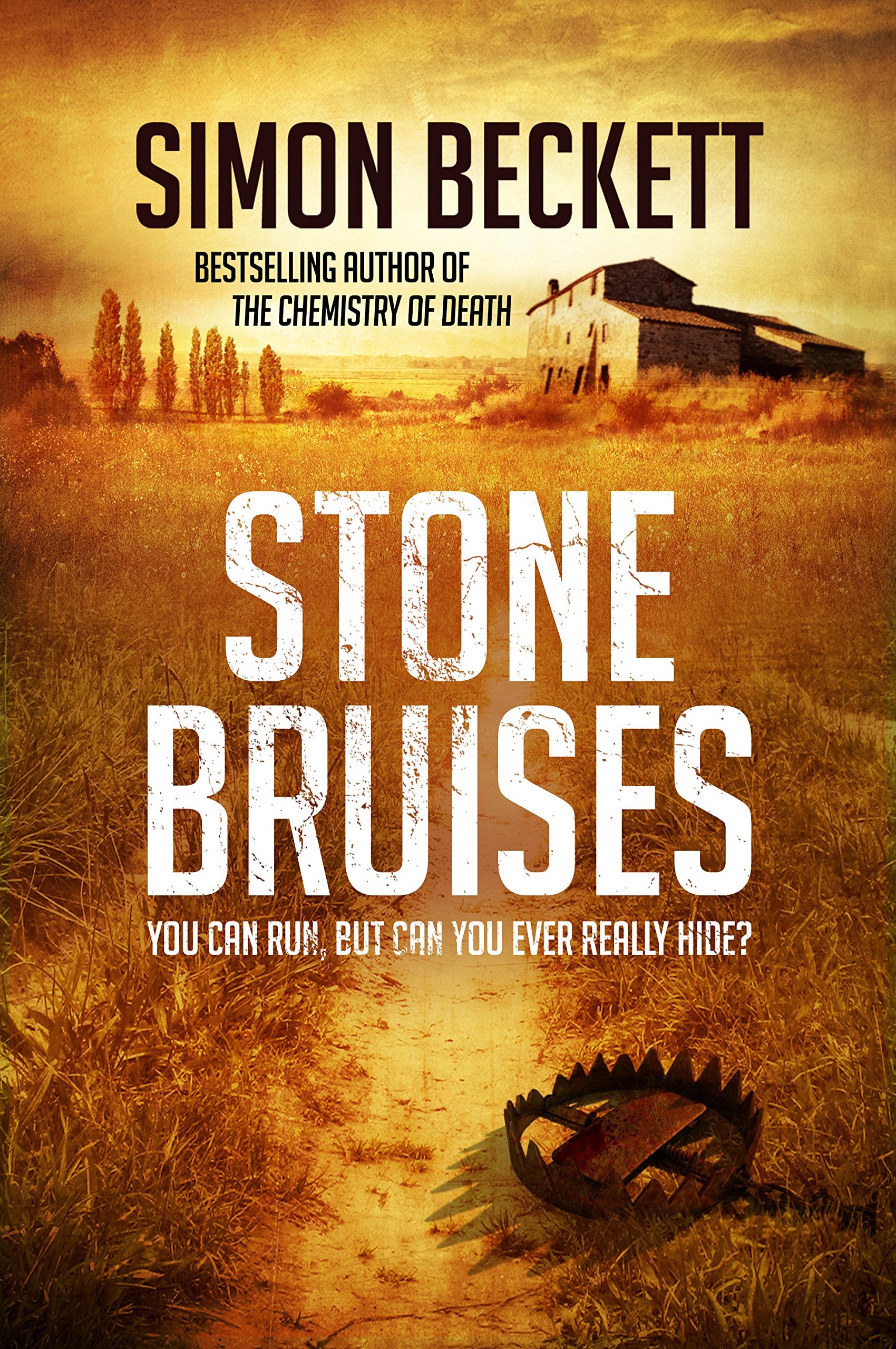 Stone Bruises Books