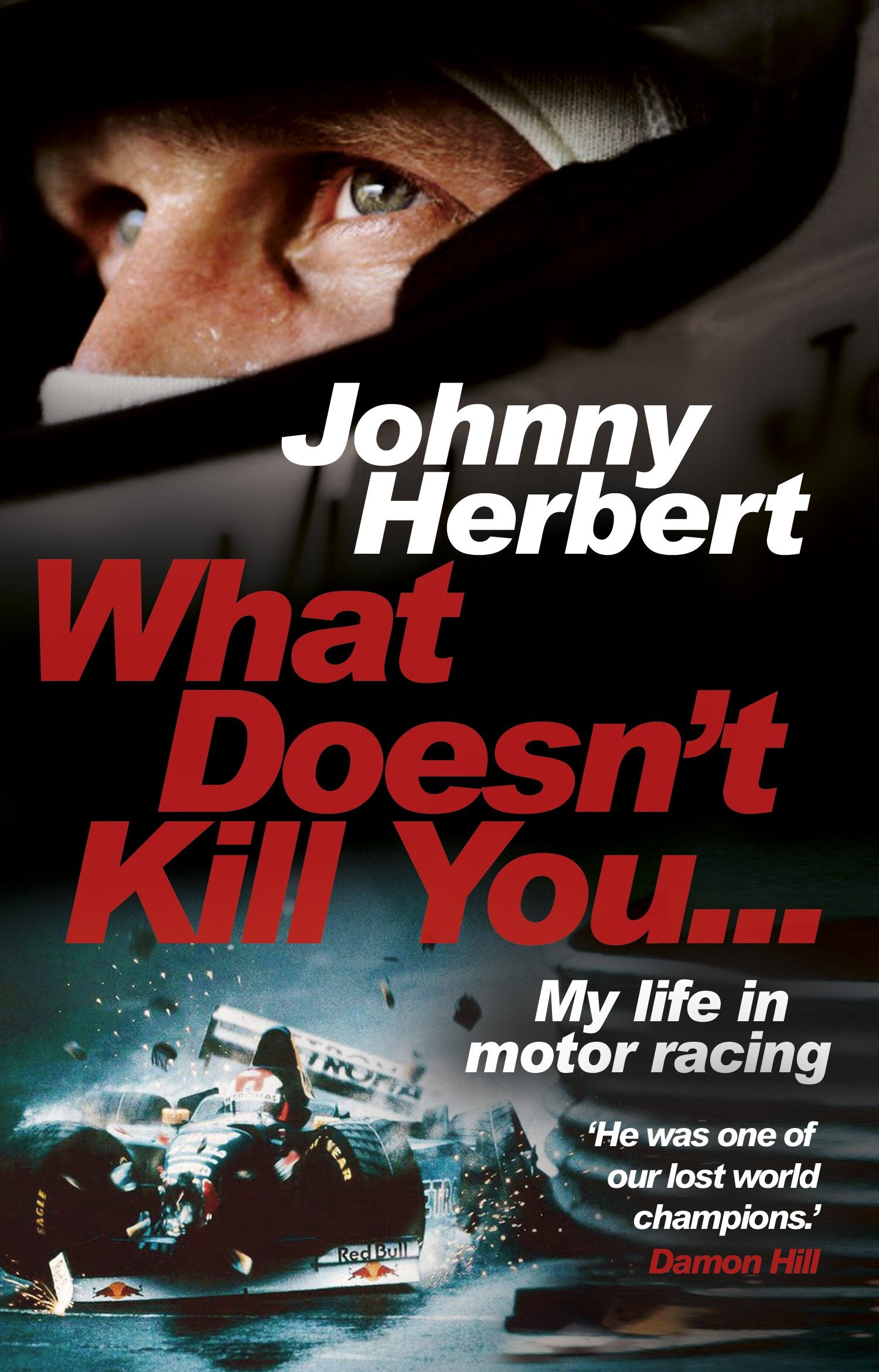 What Doesn't Kill You...: My Life in Motor Racing Sports