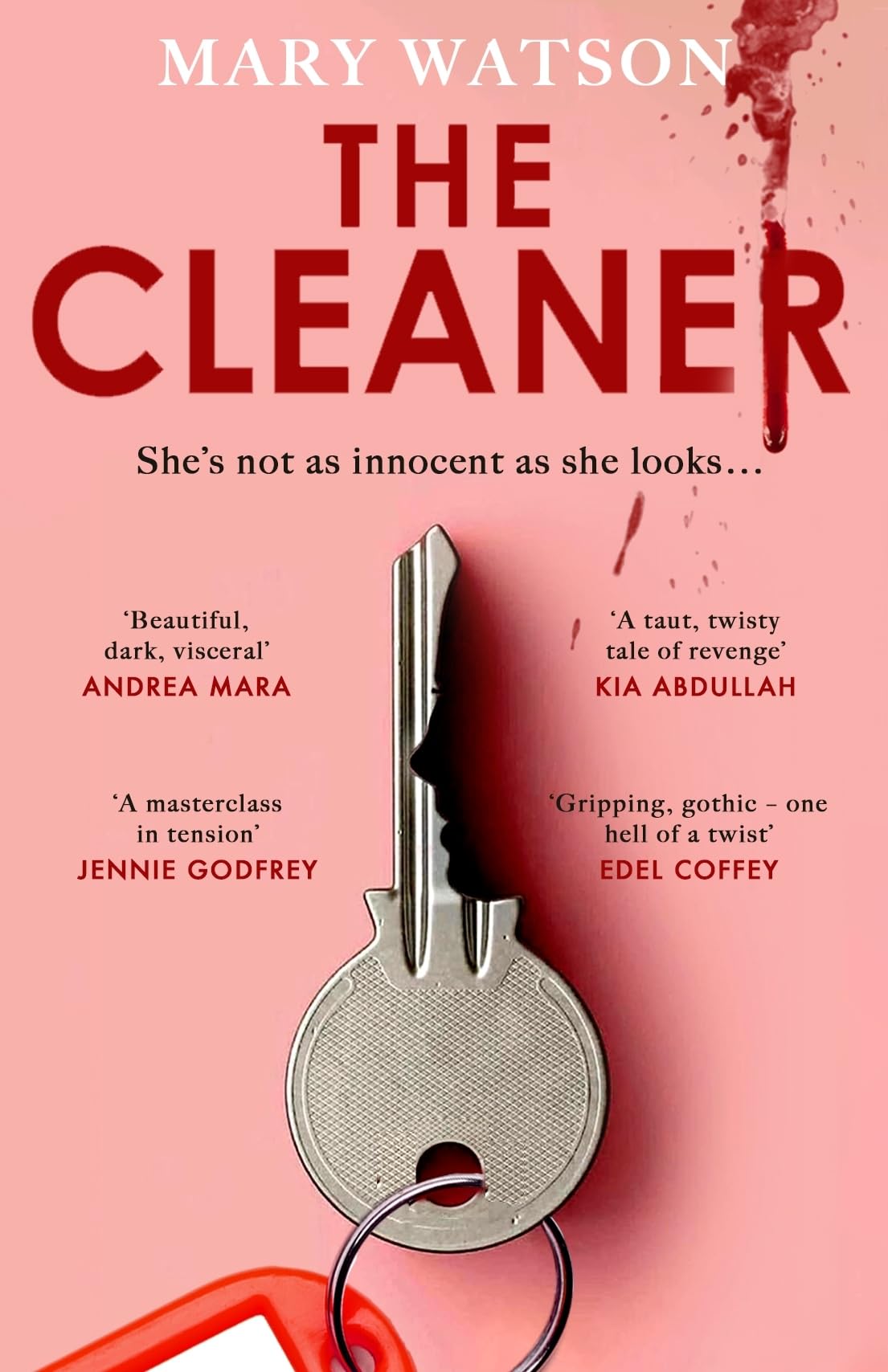 The Cleaner Contemporary literature Books