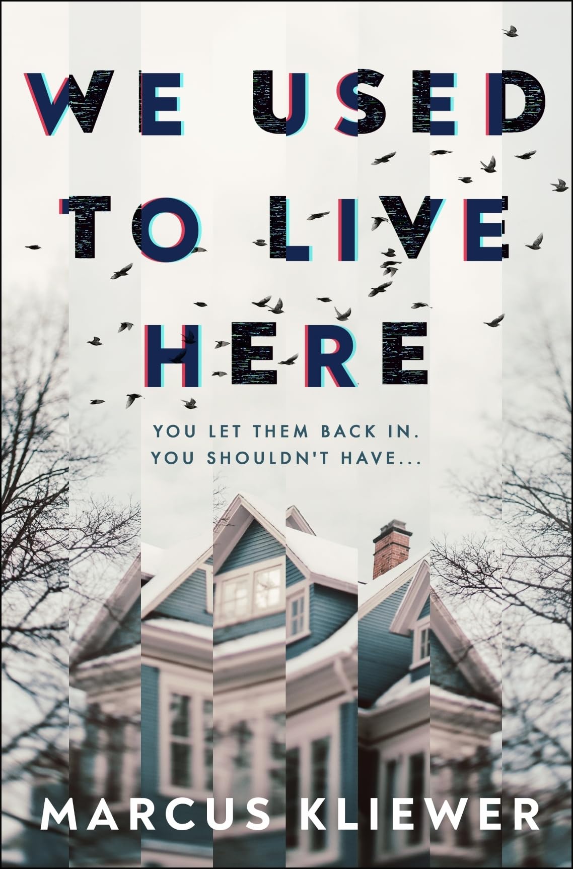 Product Image: We Used to Live Here