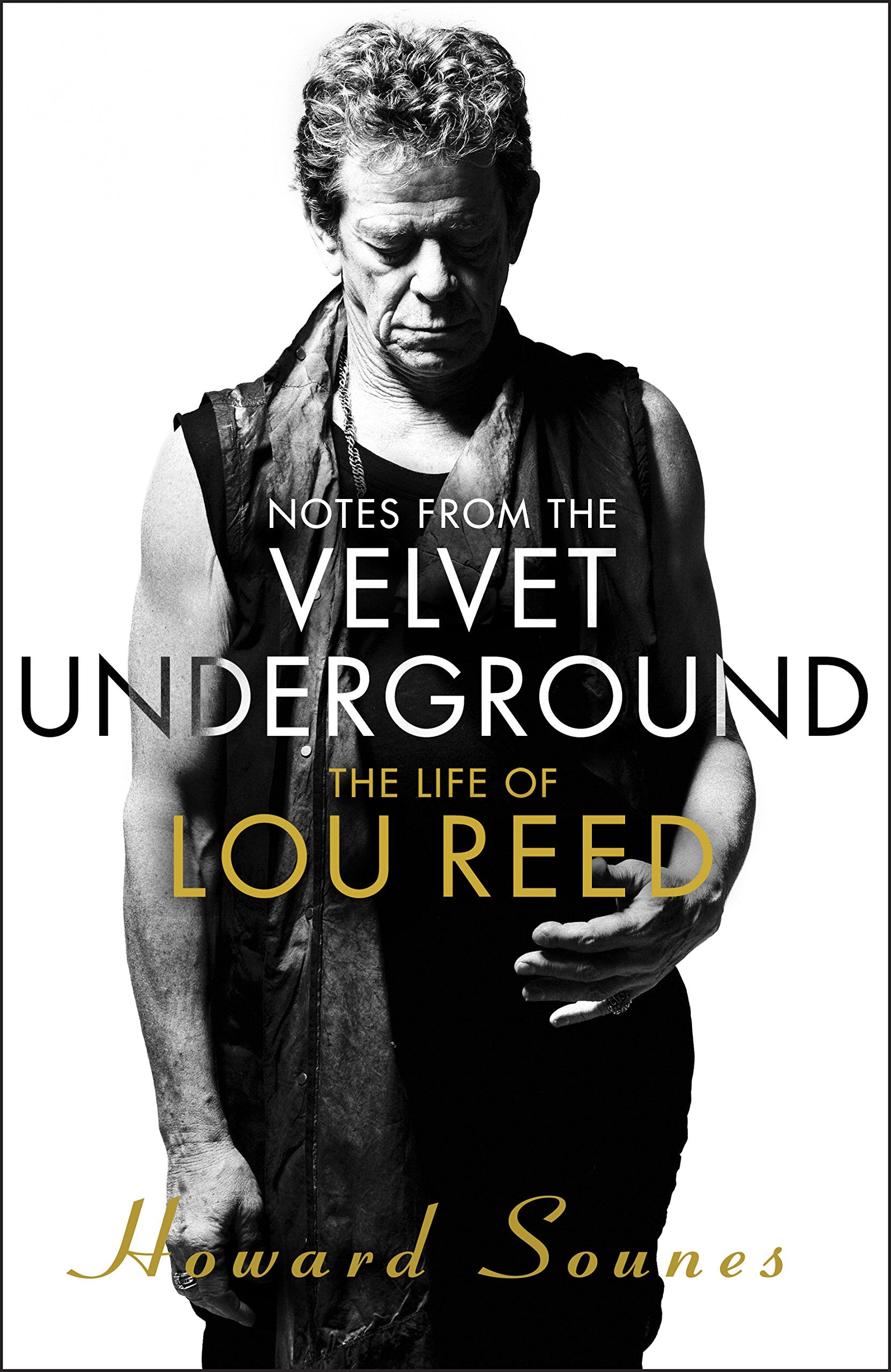 Notes from the Velvet Underground: The Life of Lou Reed Pop culture