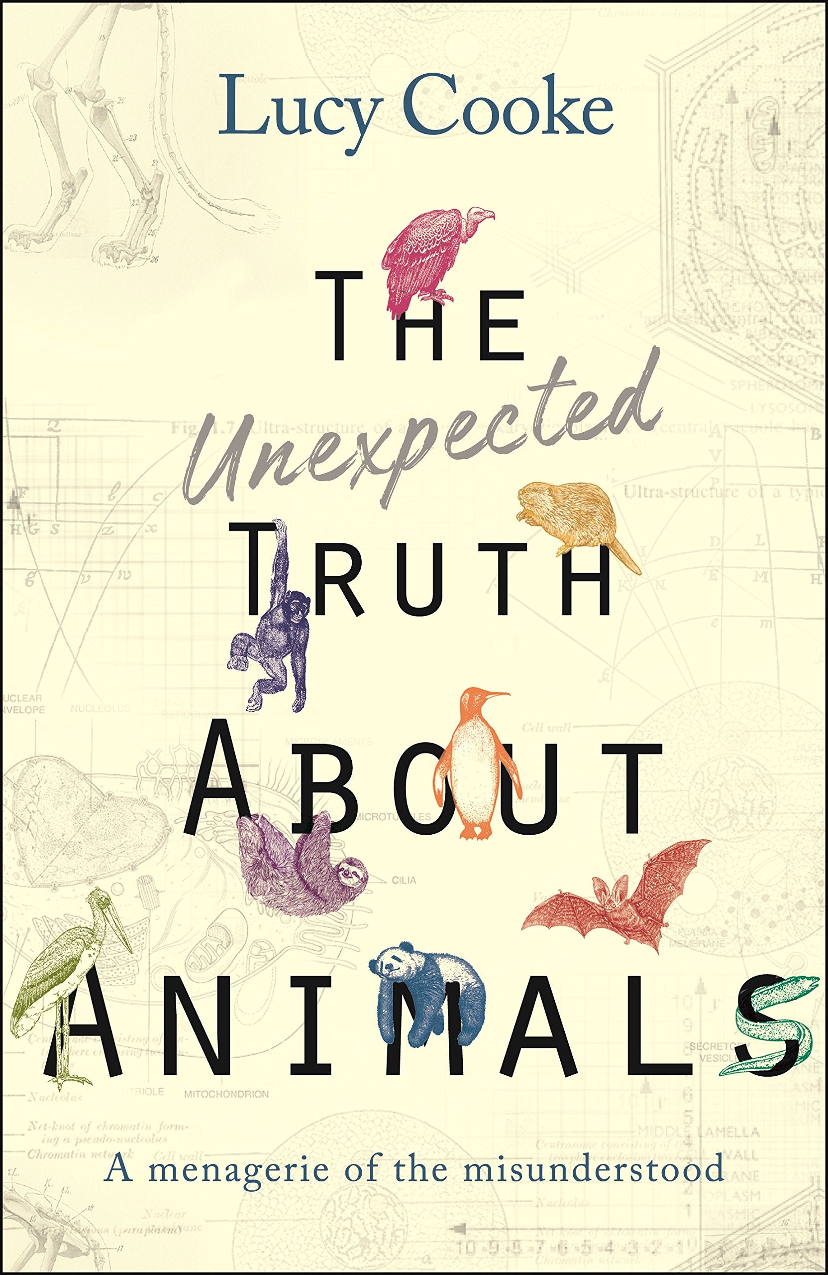 The Unexpected Truth About Animals: Brilliant natural history, starring lovesick hippos, stoned sloths, exploding bats and frogs in taffeta trousers... Books