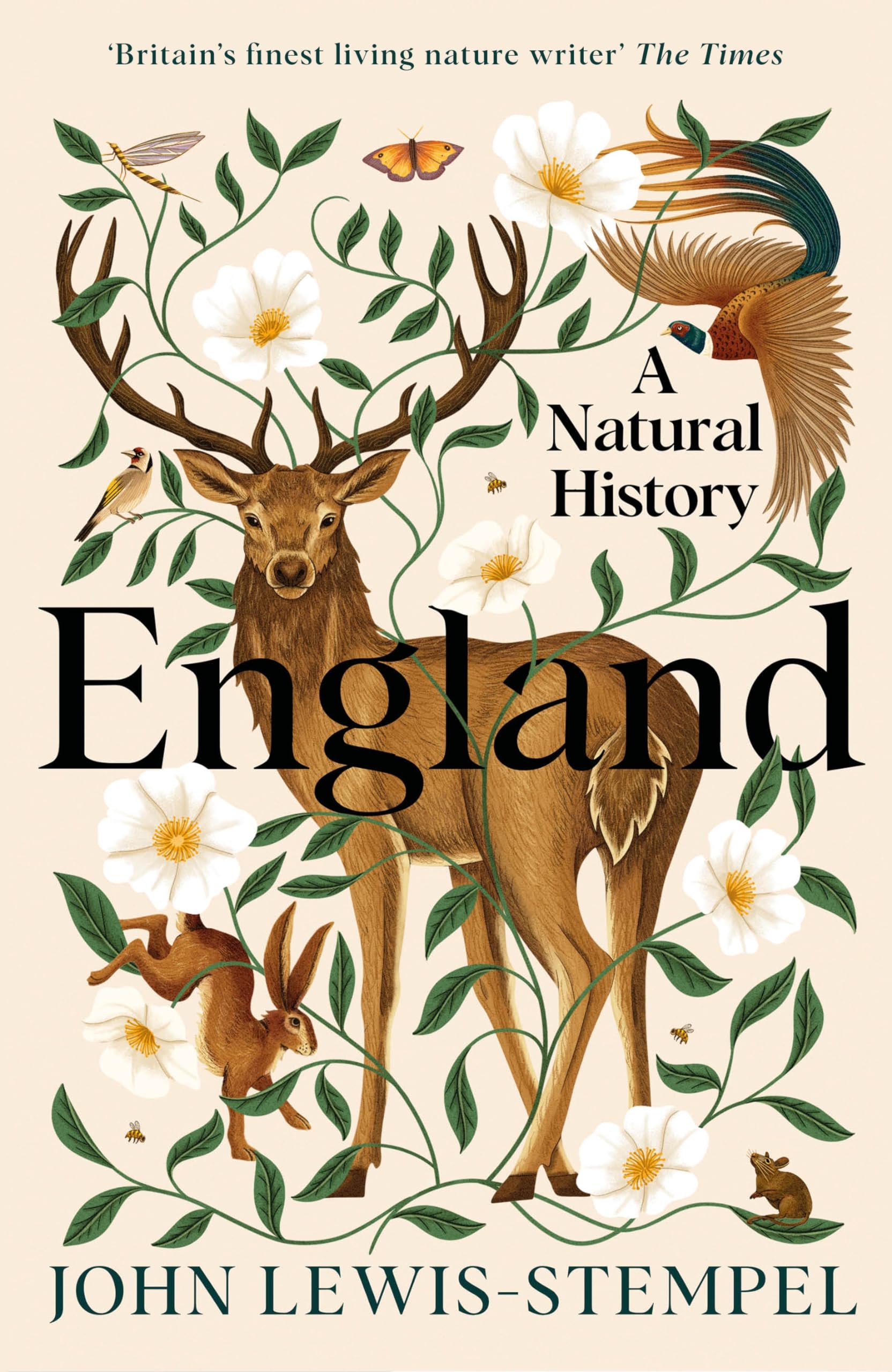 England Geology & Geography