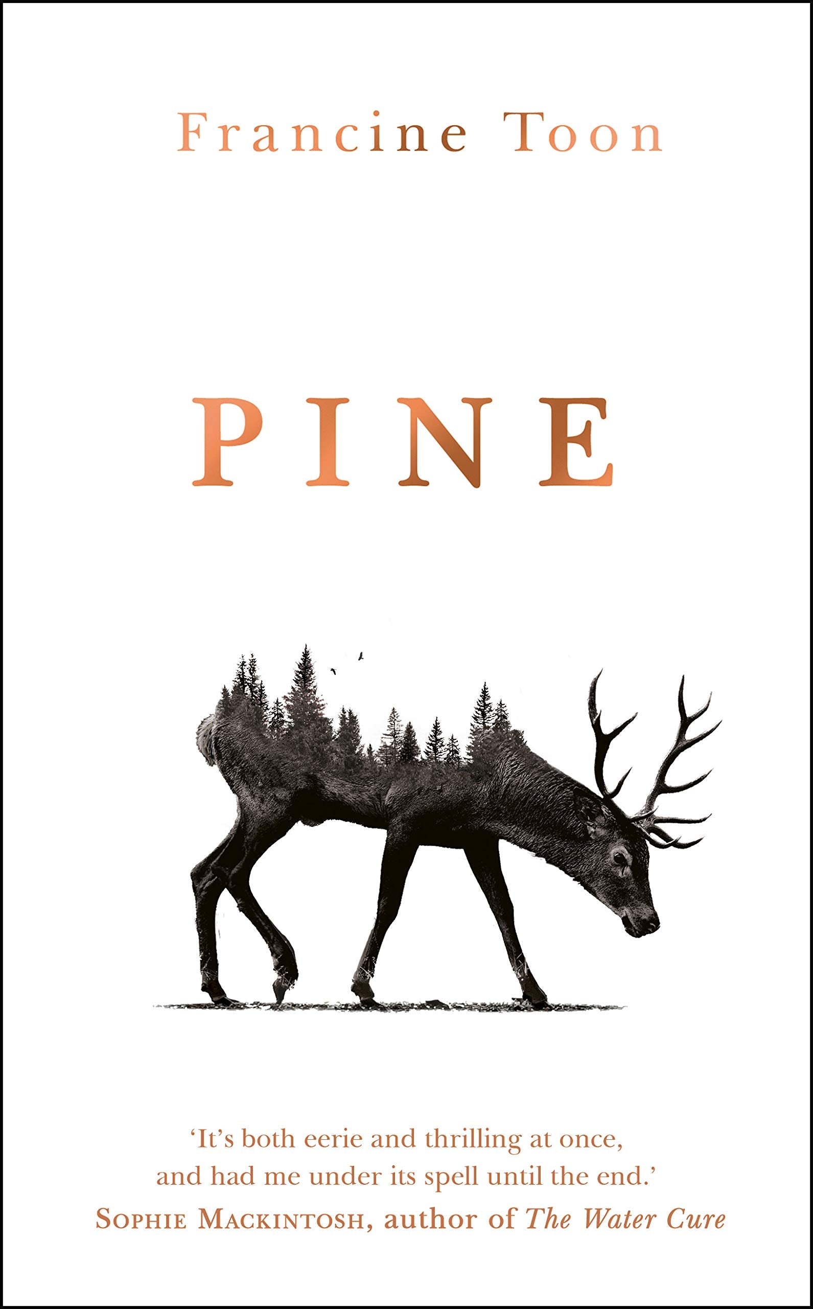 Pine: The spine-chilling Sunday Times bestseller Contemporary literature