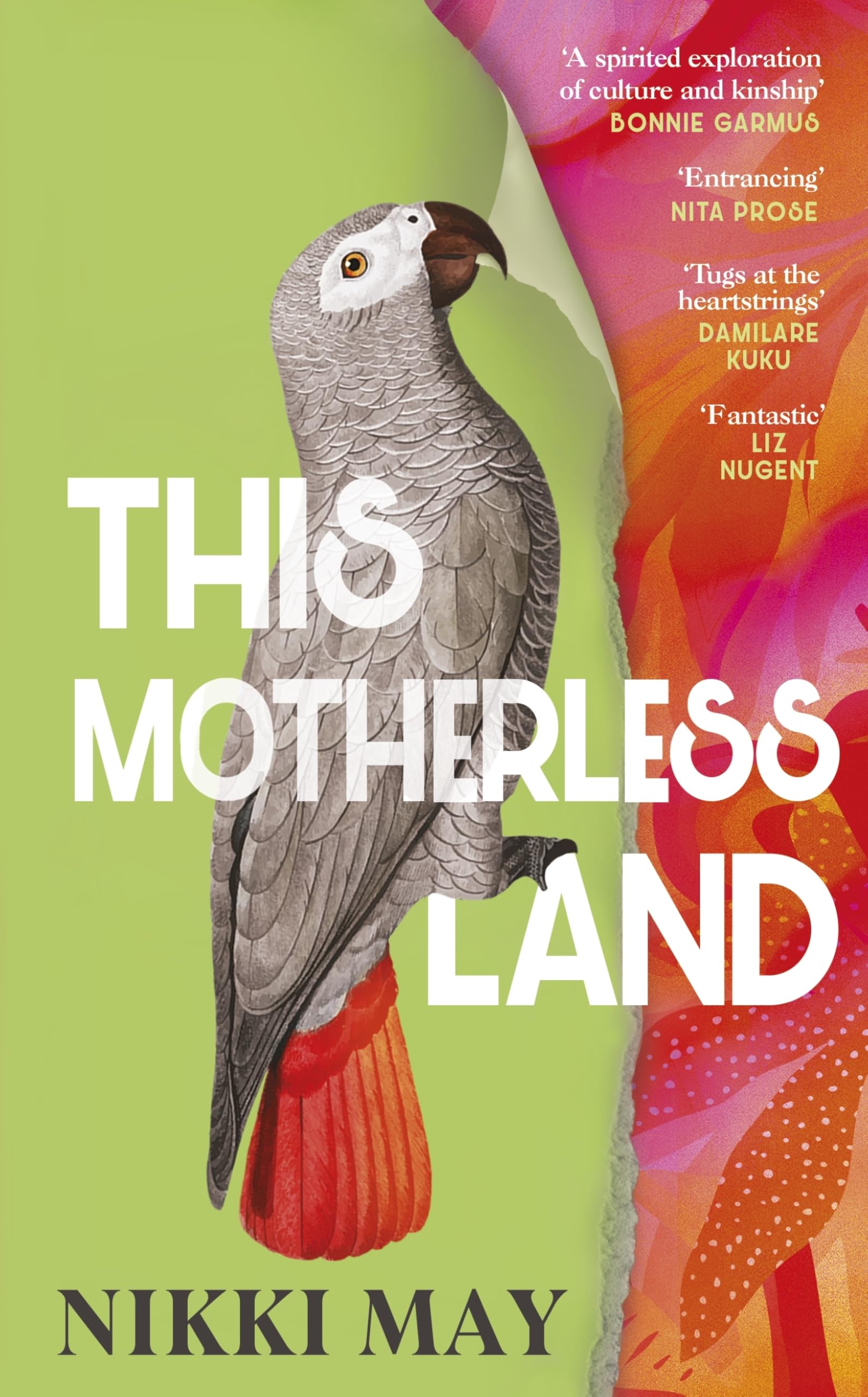 This Motherless Land Contemporary literature Books