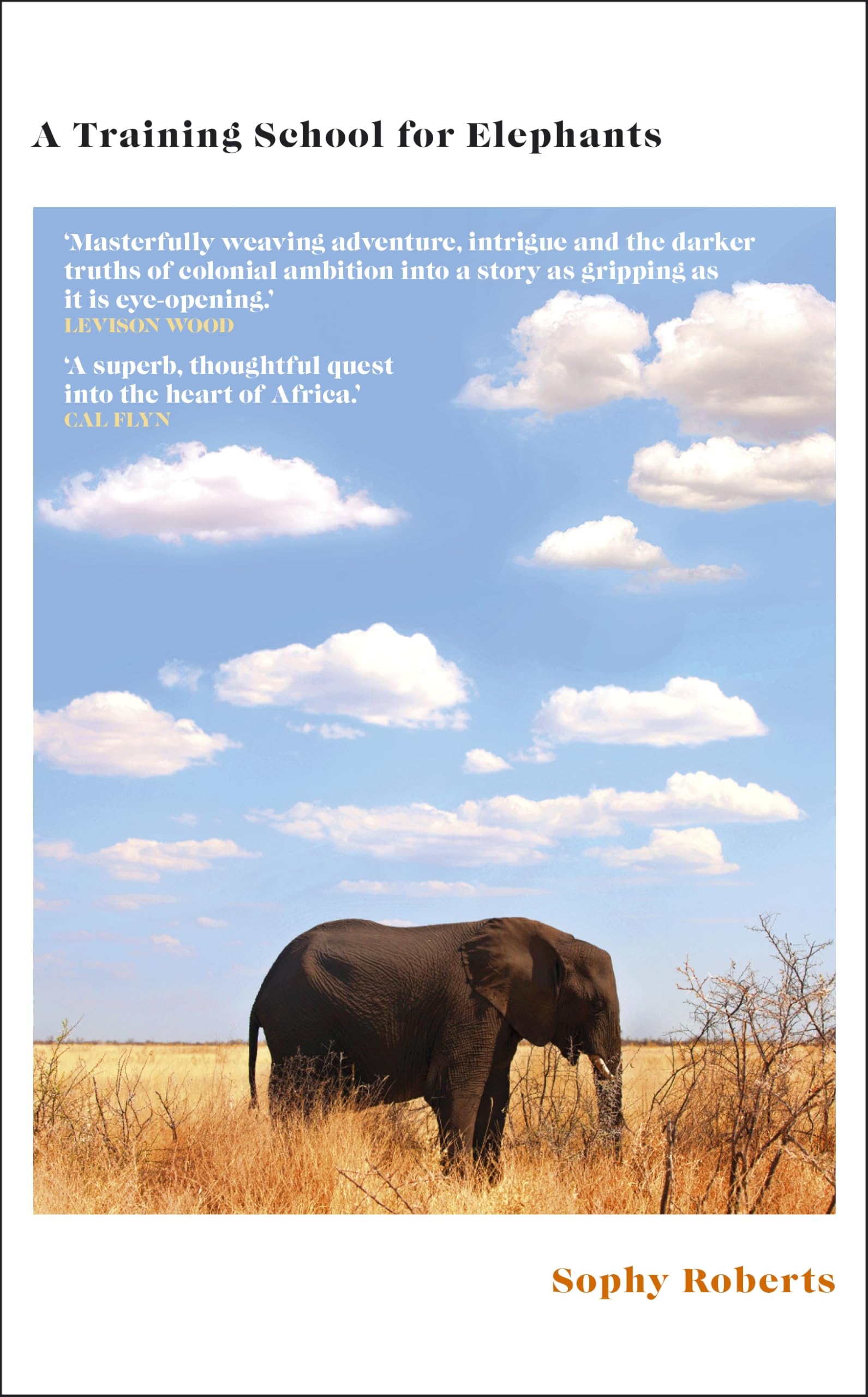 A Training School for Elephants: The powerful, Sunday Times bestselling story of Africa, from the author of The Lost Pianos of Siberia Mathematics