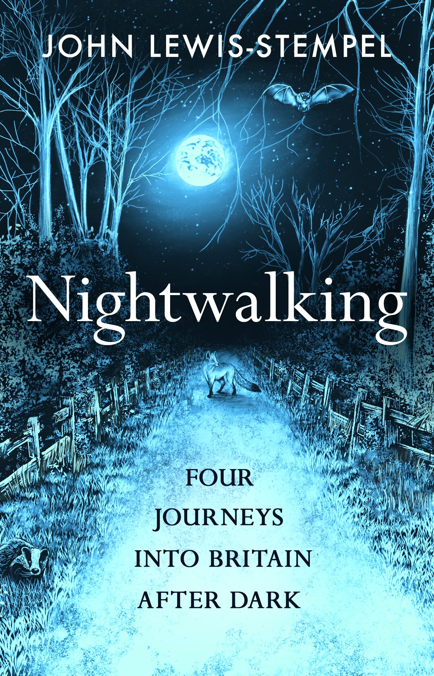 Nightwalking: Four Journeys into Britain After Dark Leisure, Home & Garden