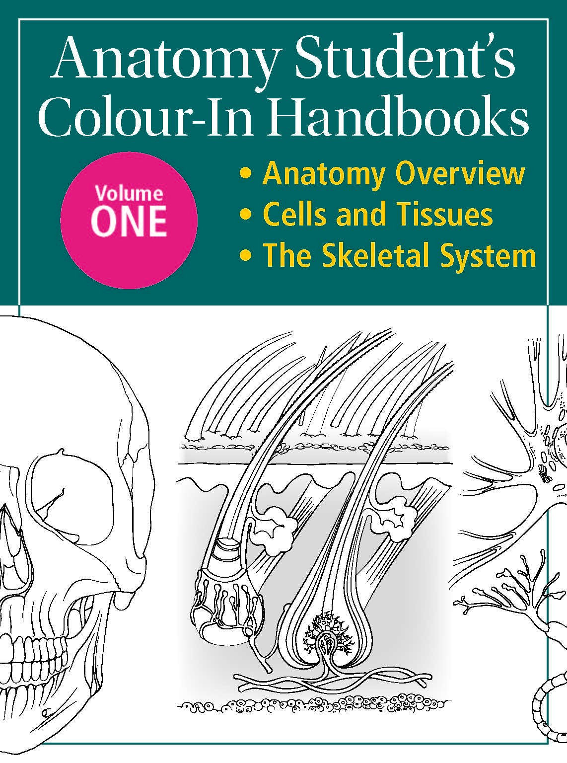 Anatomy Student's Colour-In Handbooks: Volume One: Anatomy Overview; Cells and Tissues; The Skeletal System Medicine