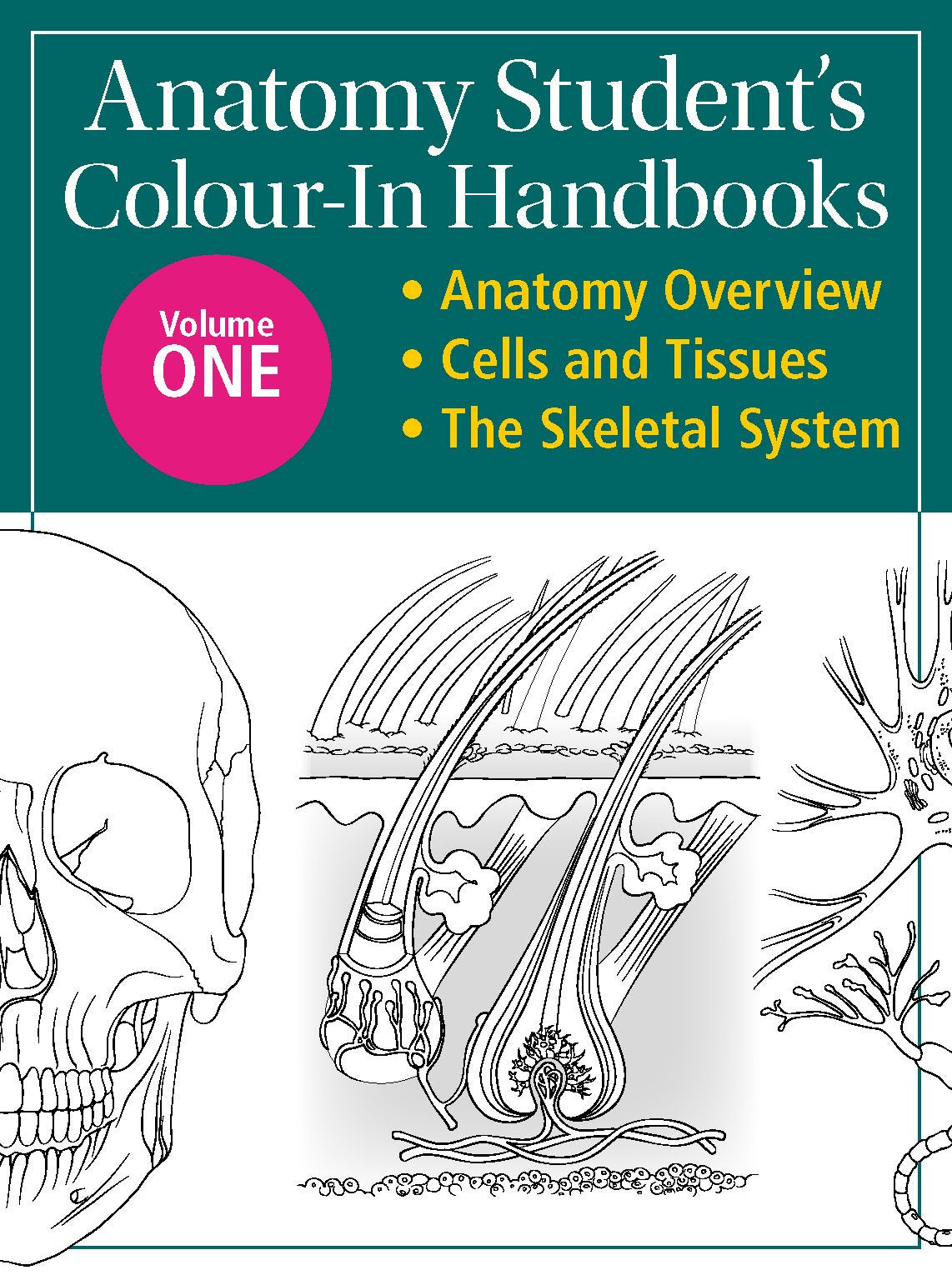 Anatomy Student's Colour-In Handbooks: Volume Two: The Muscular System; The Digestive System: The Muscular System; The Digestive System. The ideal ... for medical, nursing and healthcare students Medicine