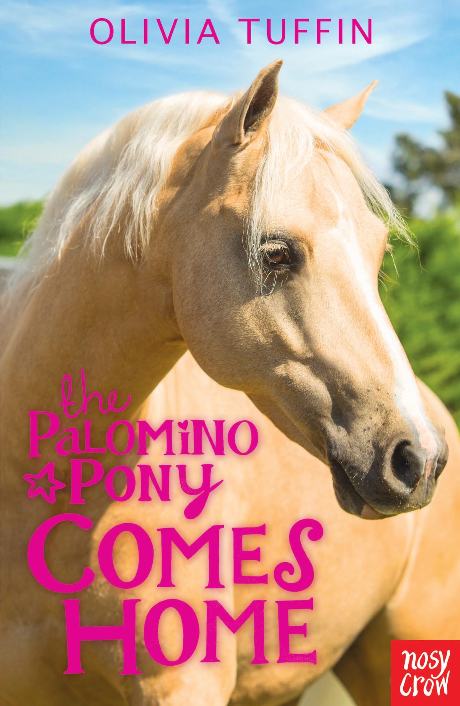 The Palomino Pony Comes Home Novels & Short Stories