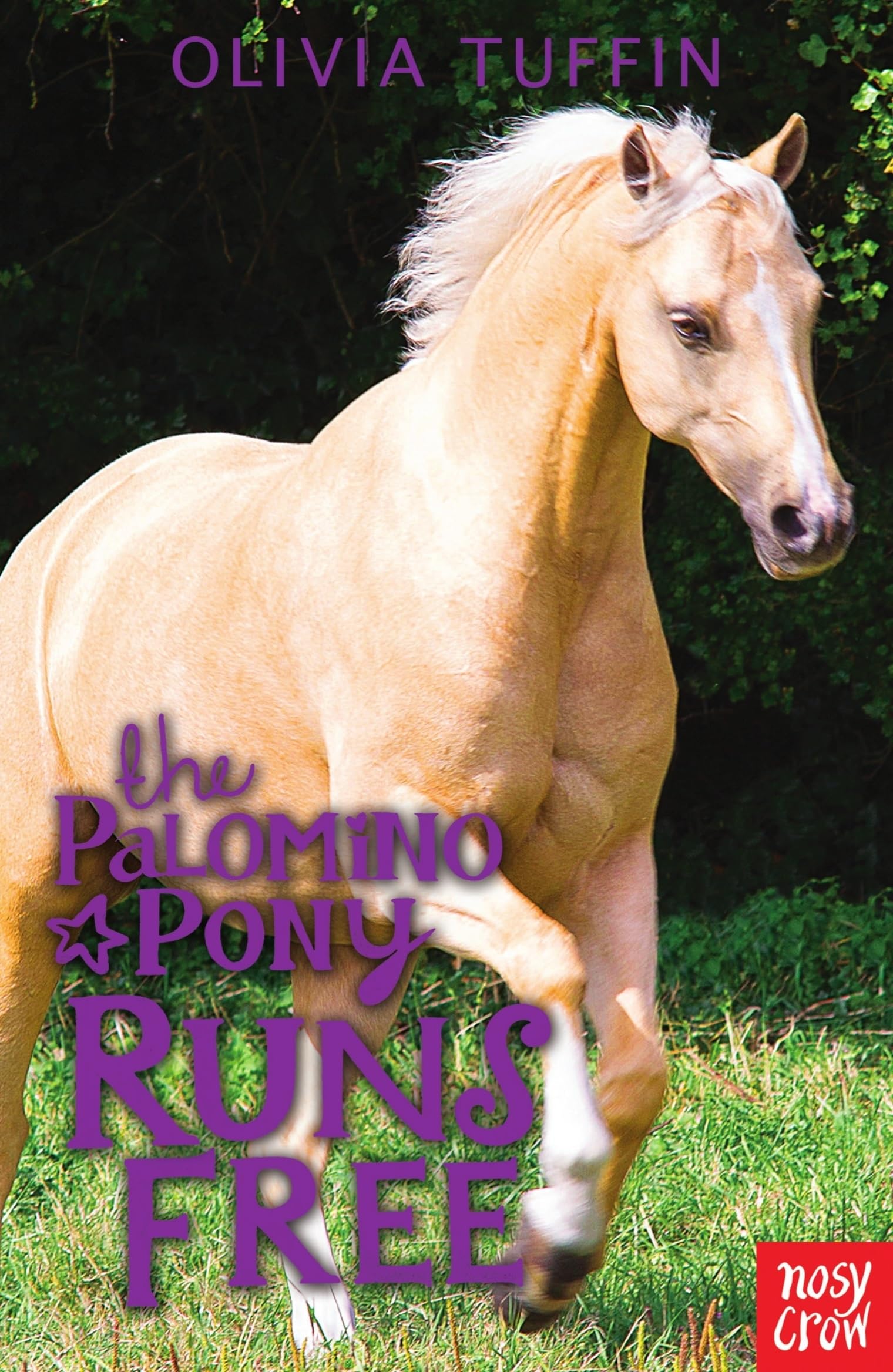 The Palomino Pony Runs Free Leisure & Fun