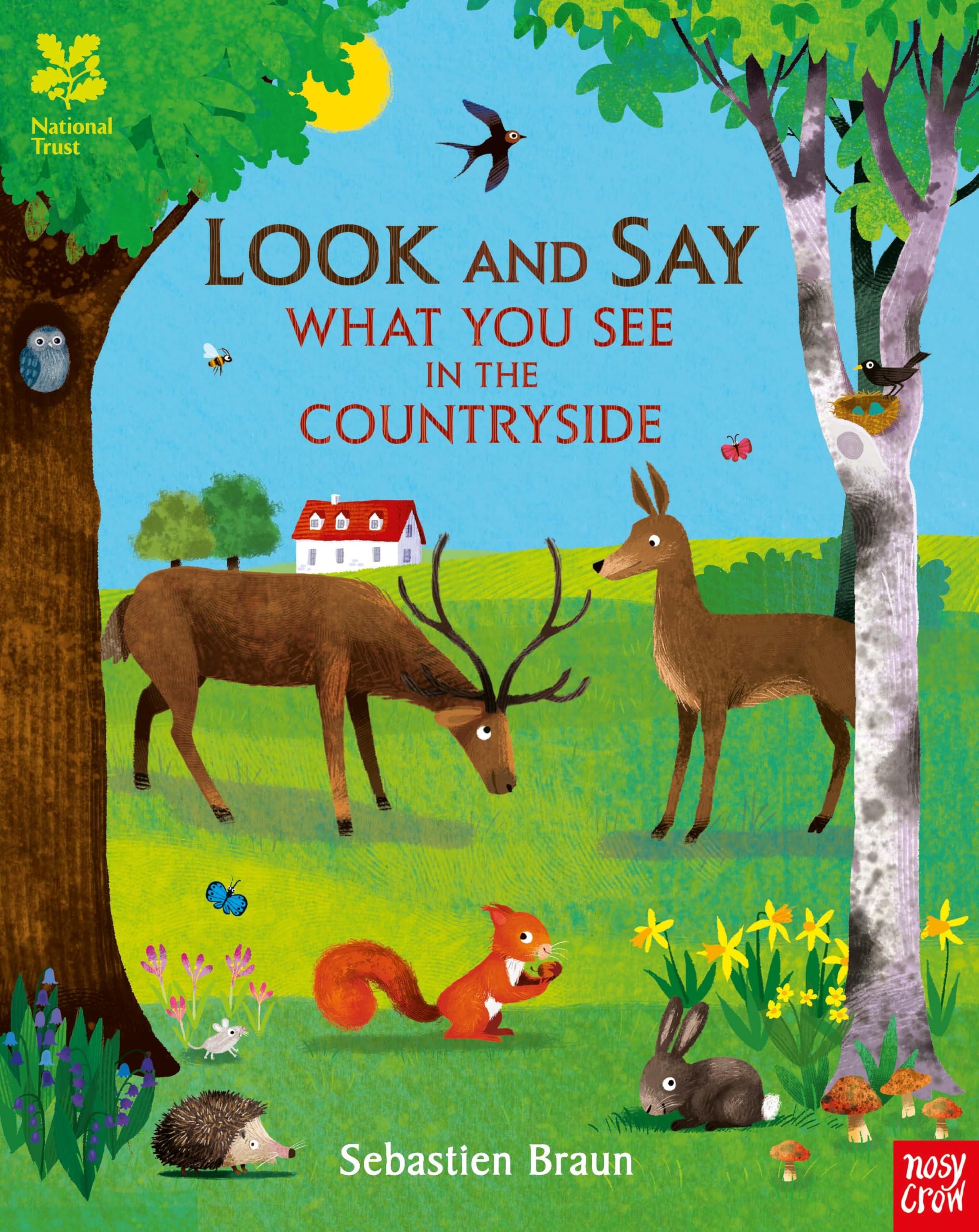 National Trust: Look and Say What You See in the Countryside Non-fiction
