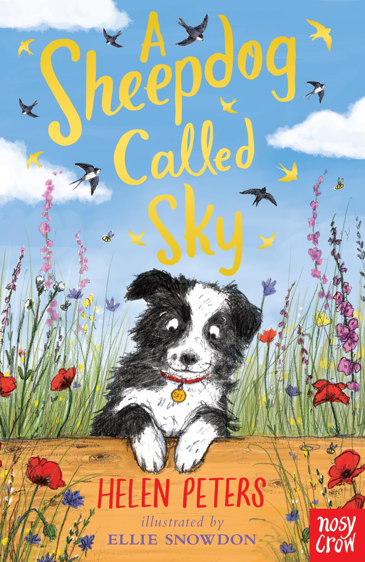 A Sheepdog Called Sky (The Jasmine Green Series) Non-fiction
