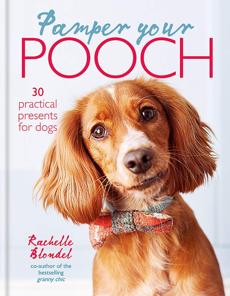 Pamper Your Pooch: 30 Practical Presents for Dogs Pets