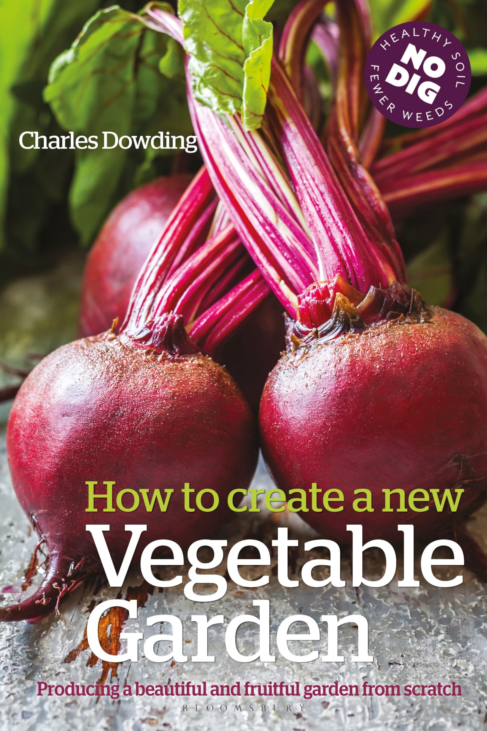 How to Create a New Vegetable Garden: Producing a beautiful and fruitful garden from scratch book