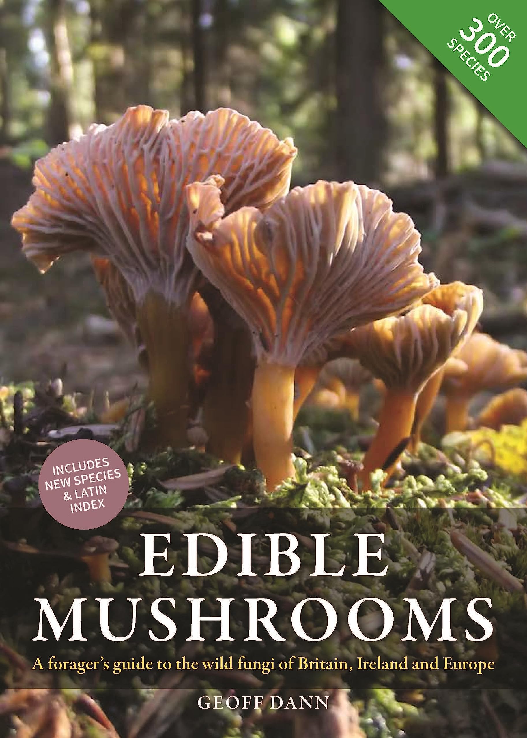 Edible Mushrooms: A forager's guide to the wild fungi of Britain, Ireland and Europe Mathematics