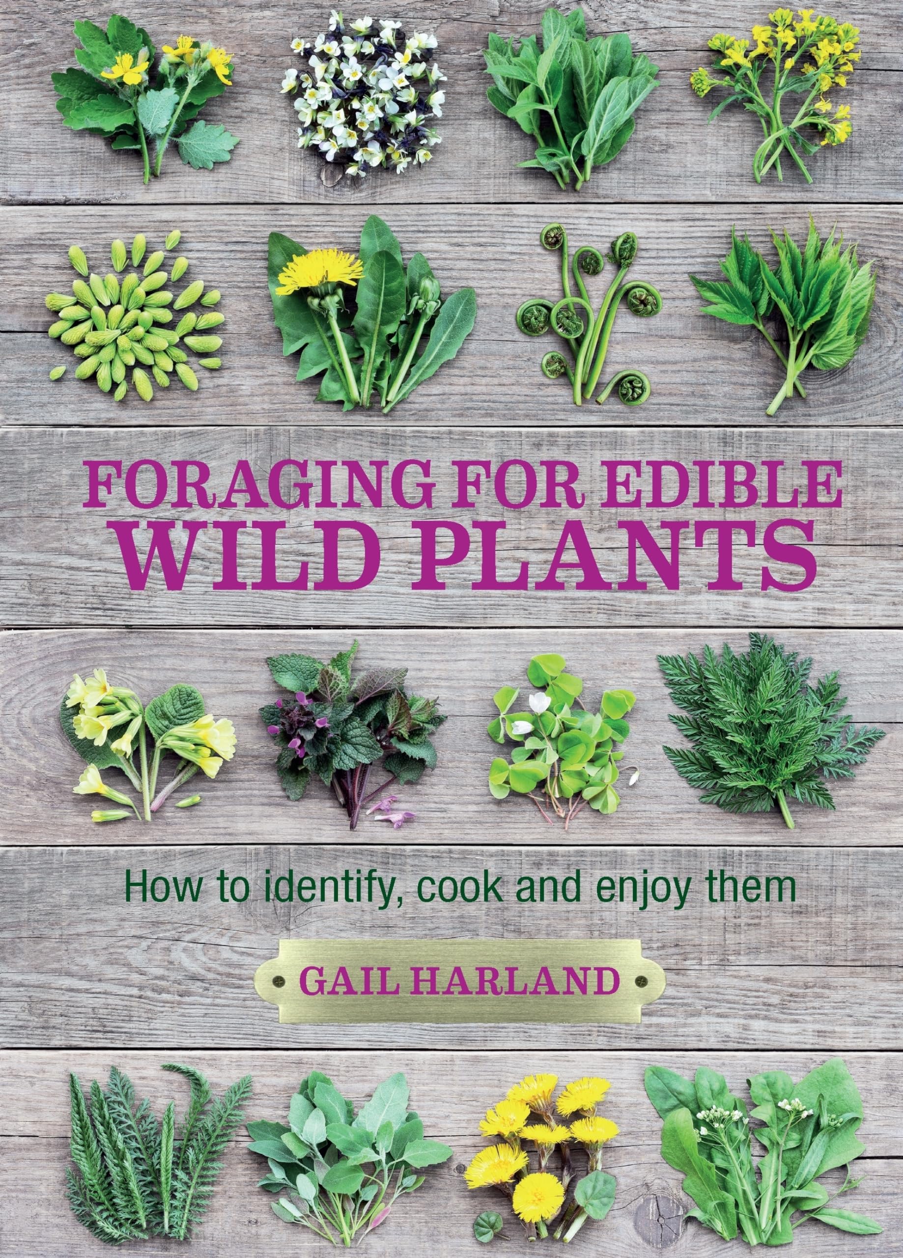 Foraging for Edible Wild Plants: How to identify, cook and enjoy them Mathematics