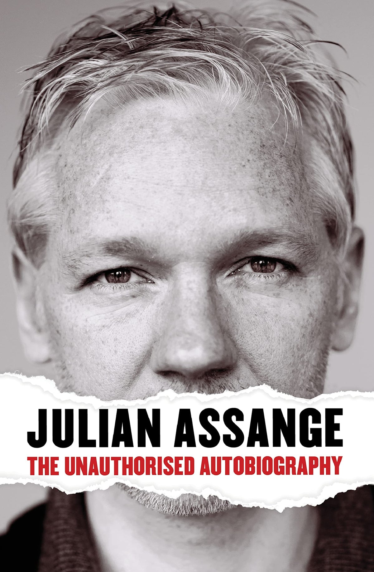 Julian Assange: The Unauthorised Autobiography Law Books